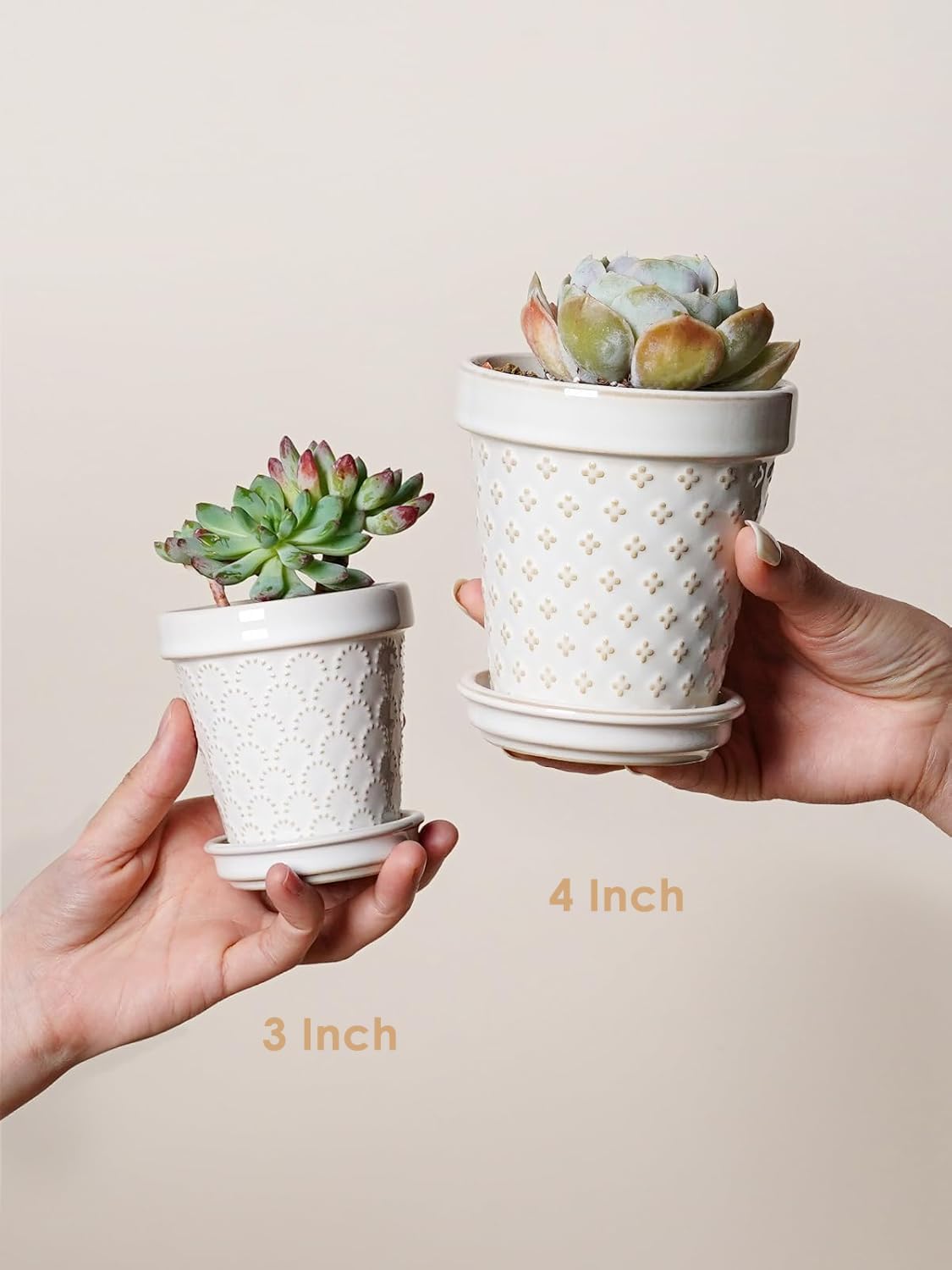 LE TAUCI 3 Inch Mini Succulent Pots - Very Small Ceramic Planter with Saucer, Tiny Embossed Flower Pots for Lithops, Mini Cactus, Air Plants, Fairy Gardens - Indoor Home Decor, Set of 4, Arctic White