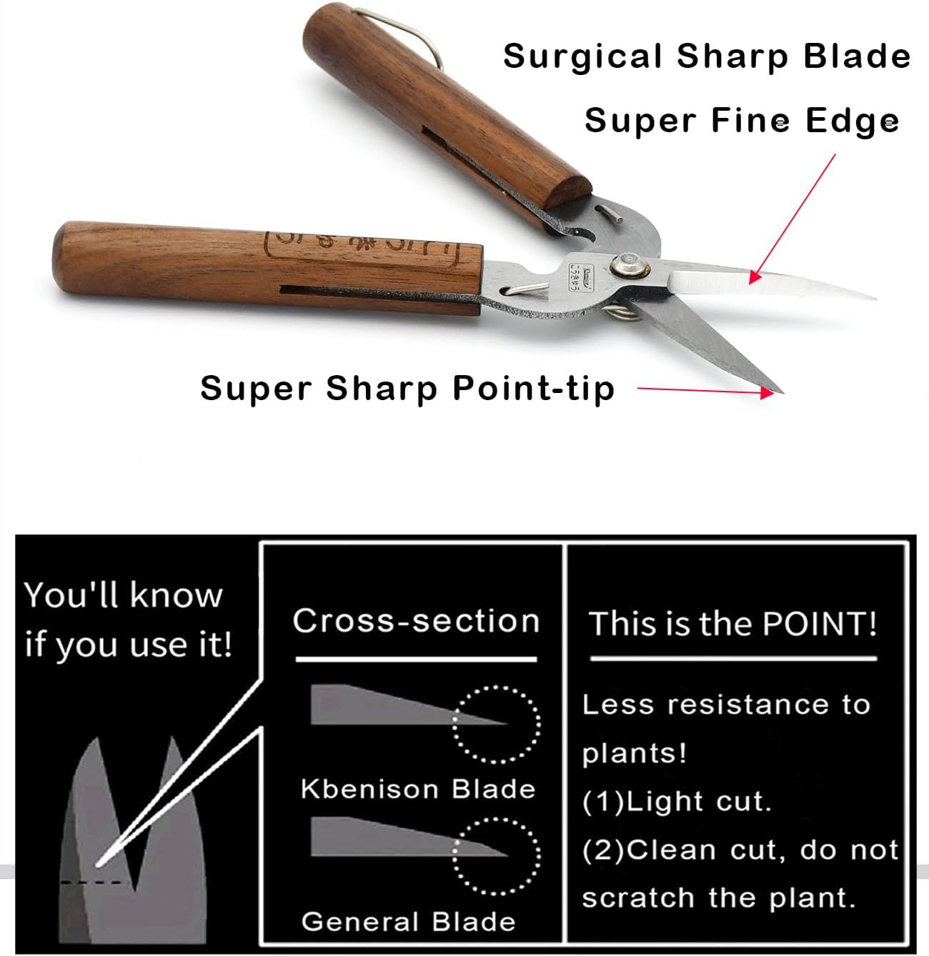 Razor Sharp Pruning Shears for Gardening, Garden Shears Carbon Steel Blade, Precision garden scissors Walnut Wood handle, 6.8” Garden Snips for Trimming Fruits, Vegetables, Flowers, Buds, Bonsai