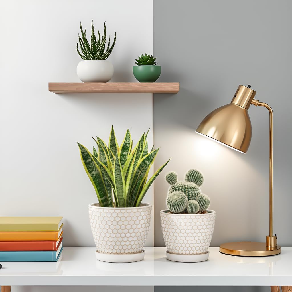 Docrin Ceramic Plant Pots Indoor, 6.6 + 5.5 Inch Flower Pots with Drainage Holes and Saucer for Plants, Set of 2, Milky White Honeycomb