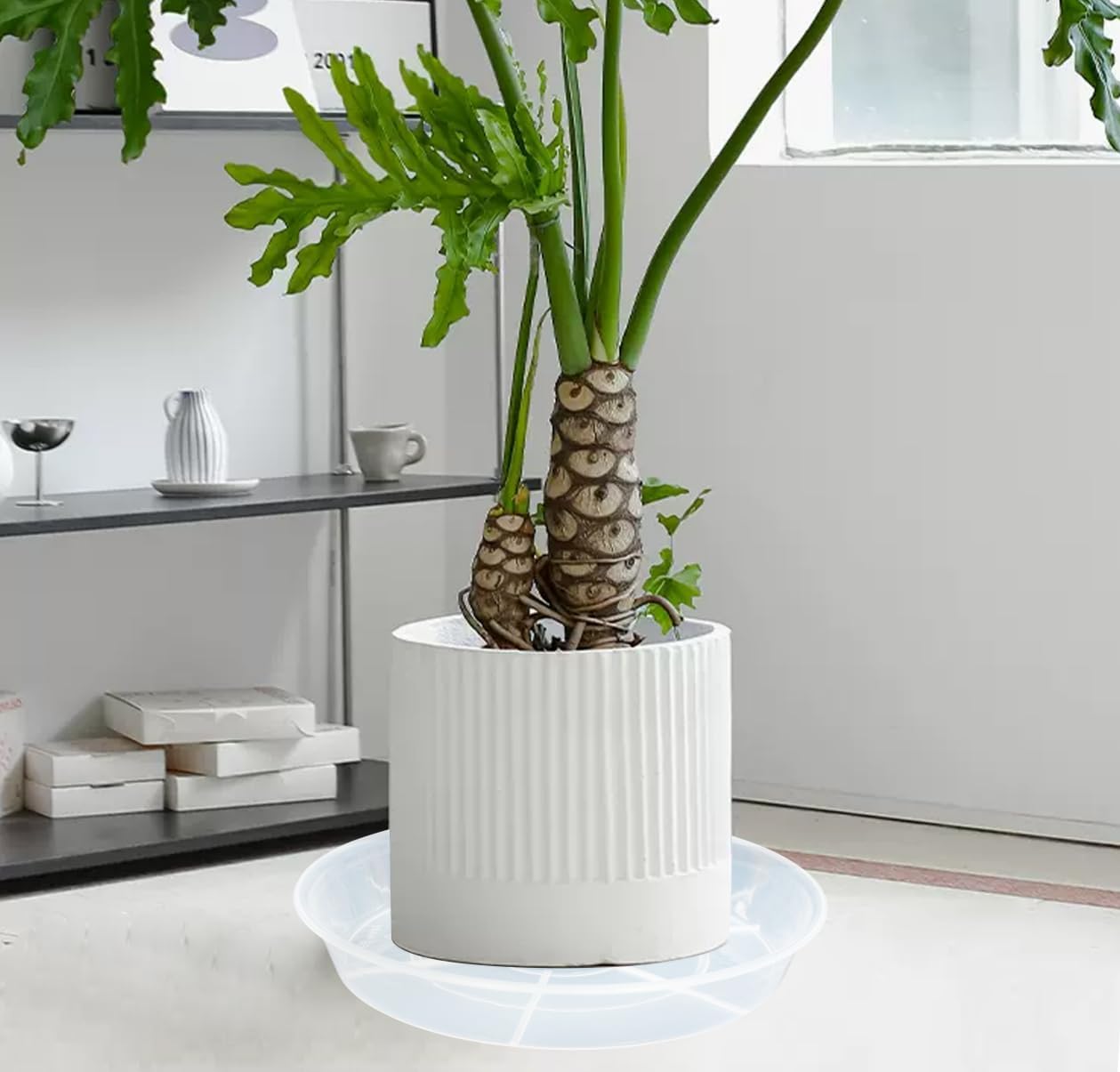 2 Pack of 17 inch Plant Saucer, 2.3" Depth Tray, Large Deep Garden Plastic Flower Planter Plant Trays for Indoors Outdoor Bath Bath (17", Clear)