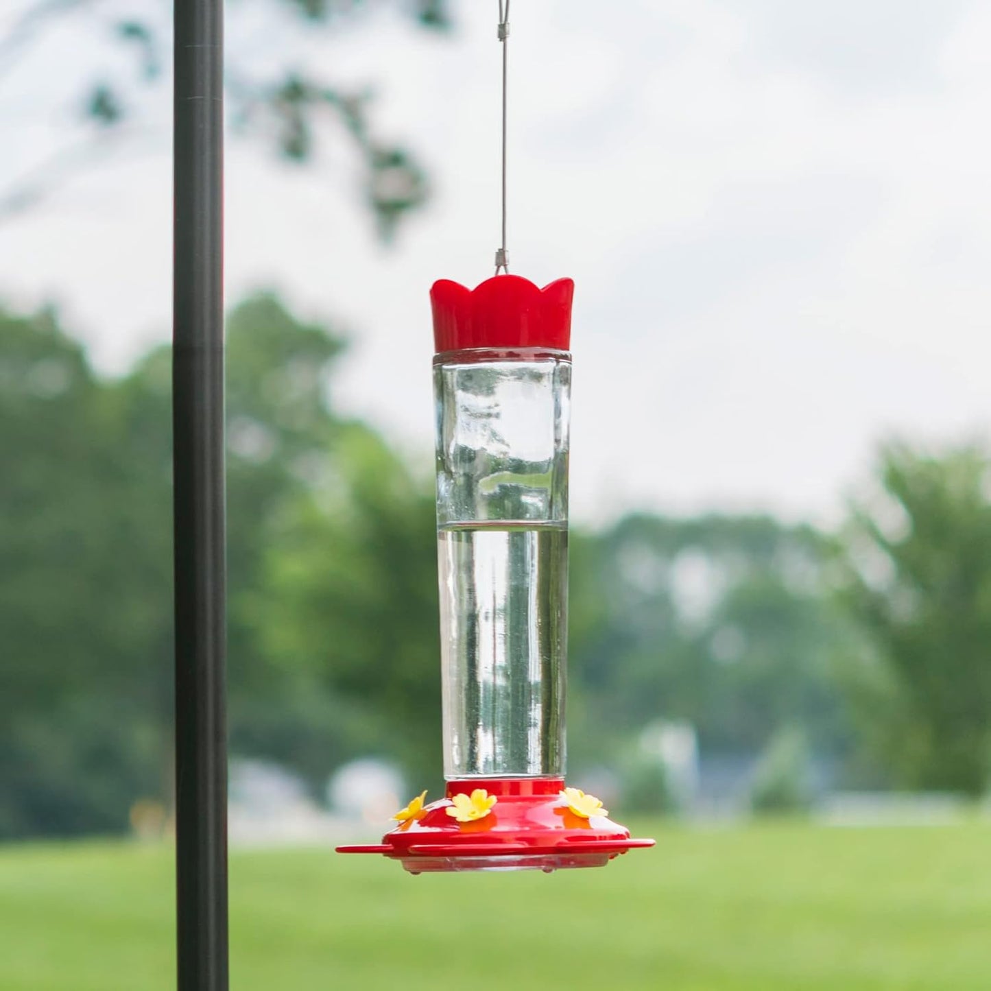 MEKKAPRO Outdoor Hummingbird Feeder Made from Glass, Hanging 5 Nectar Feeding Stations, Bright Red, Backyard Feeder (20 Ounce)