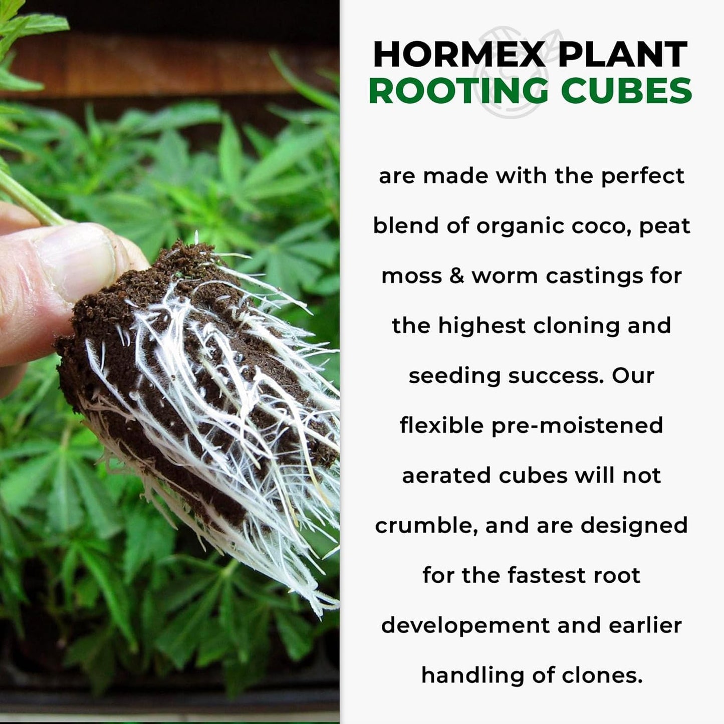 Hormex Rooting Powder #8 & Rooting Cubes Combo - Rooting Hormone for Semi-Hardwood Cuttings & Organic Peat Moss Coco Plugs - Fast, Healthy Root Growth for Propagation, Hydroponics, & Seed Starting