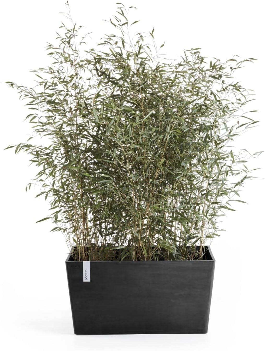 Ecopots Paris Durable Modern Rectangular Indoor/Outdoor Recycled-Based Composite Flower Planter, Dark Grey, 31.5"