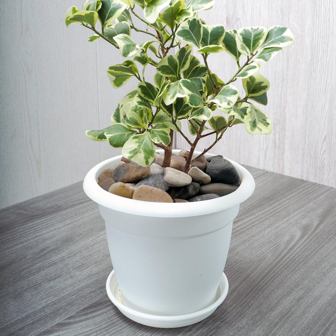 20lbs Aquarium Rocks, 5/8" Natural River Rocks for Plants Decorative Polished Mixed Pebbles for Fish Tank, Landscaping, Gardening, Flower Pots, Vase Fillers, Indoor Water Fountains