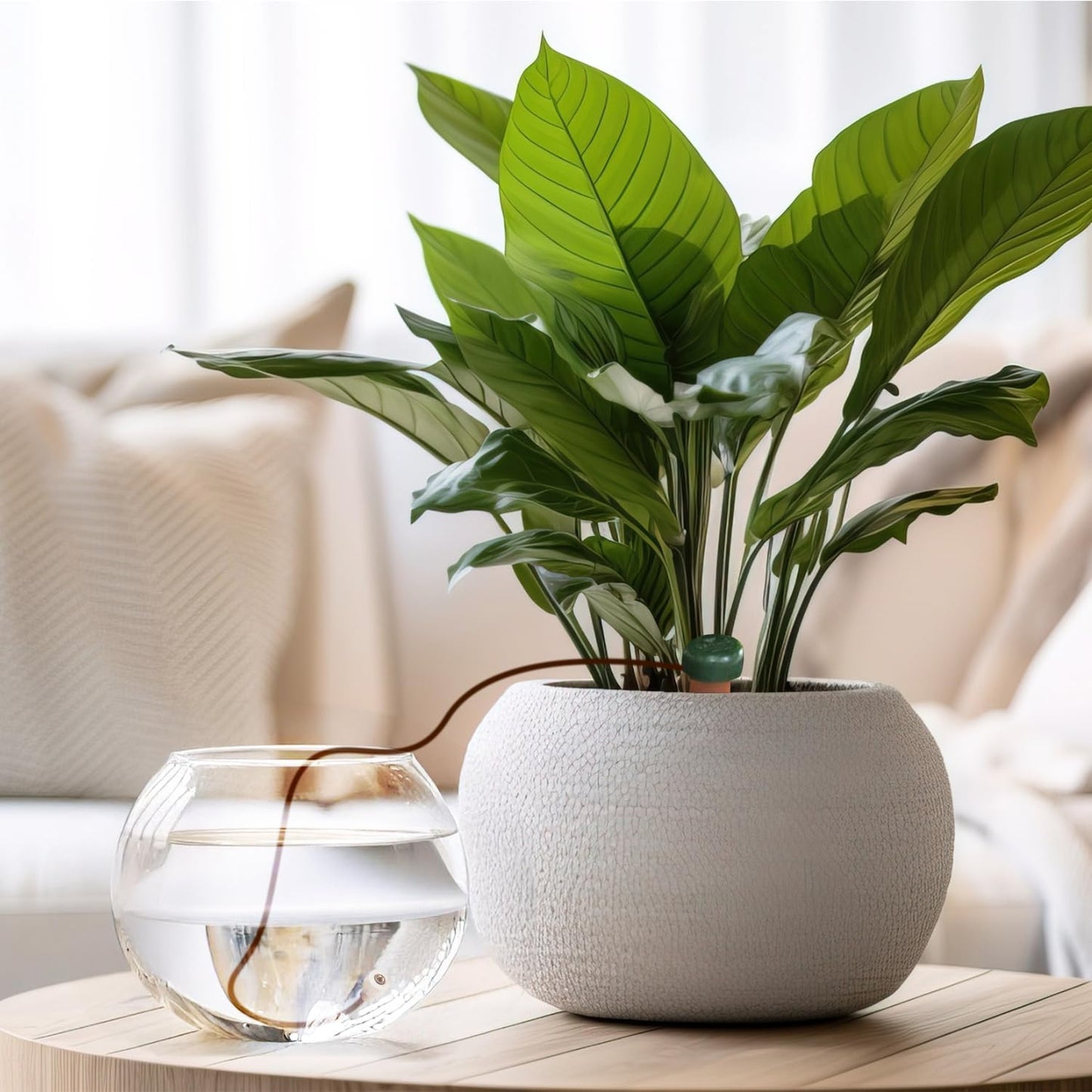 Blumat Classic Plant Watering Stakes - Self-Watering Insert for Indoor and Outdoor Plants - Automatic Slow Release Irrigation System for Potted Plants - Houseplant Care Device (14 Pack)