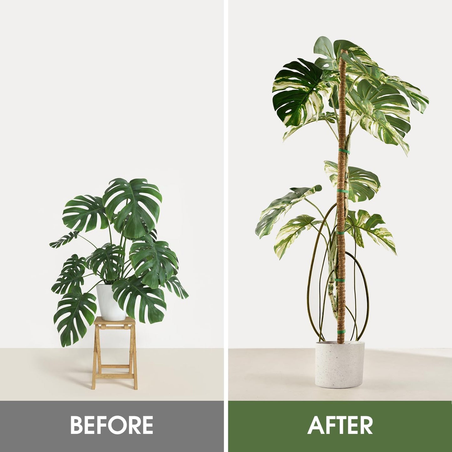 2 Pack Moss Pole, 63 Inch Bendable Moss Poles for Plants Monstera Long for Climbing Plants, Extra Large Handmade Pole Plant Sticks Support Stakes for Indoor Plants to Grow Upwards