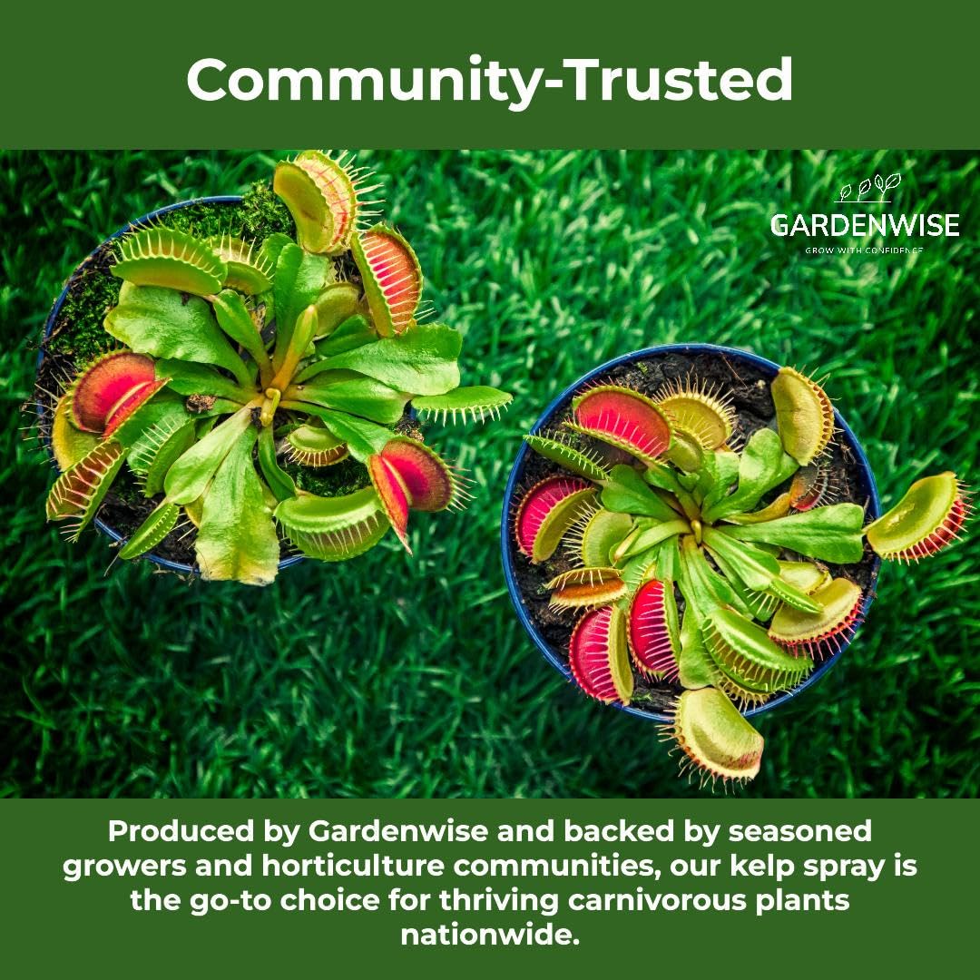 100% Organic Marina Mist Carnivorous Plant Food | Liquid Kelp Foliar Spray for Plants - Kelp Fertilizer for Venus Flytraps, Sundew, Butterworts, Pitcher Plants 16 Oz