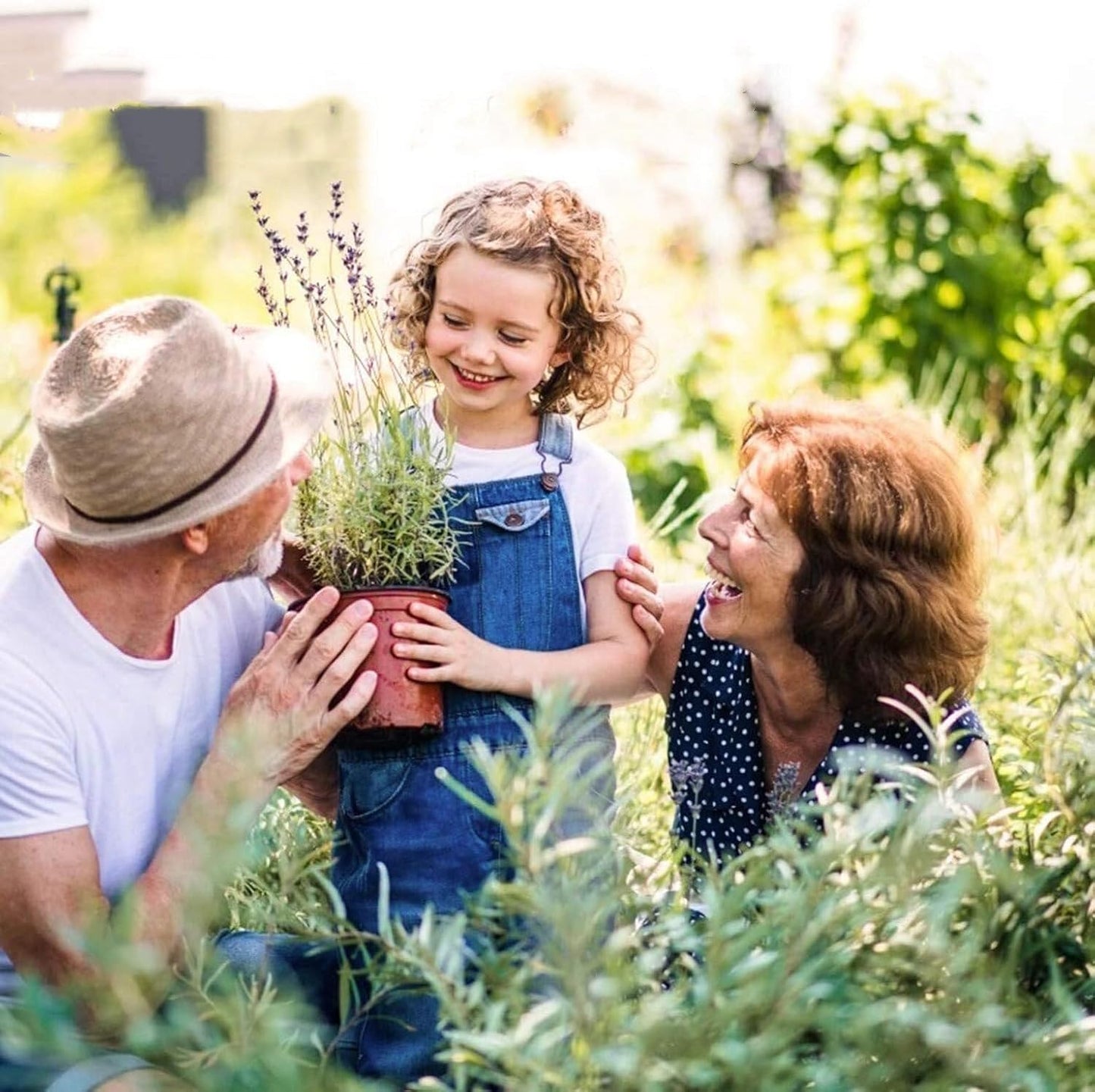 100 PCS 8 Inches Plastic Plant Nursery Pots Reusable for Succulents Seedlings Cuttings TransplantingSeedlings Plastic Plant Pots with Drainage Holes