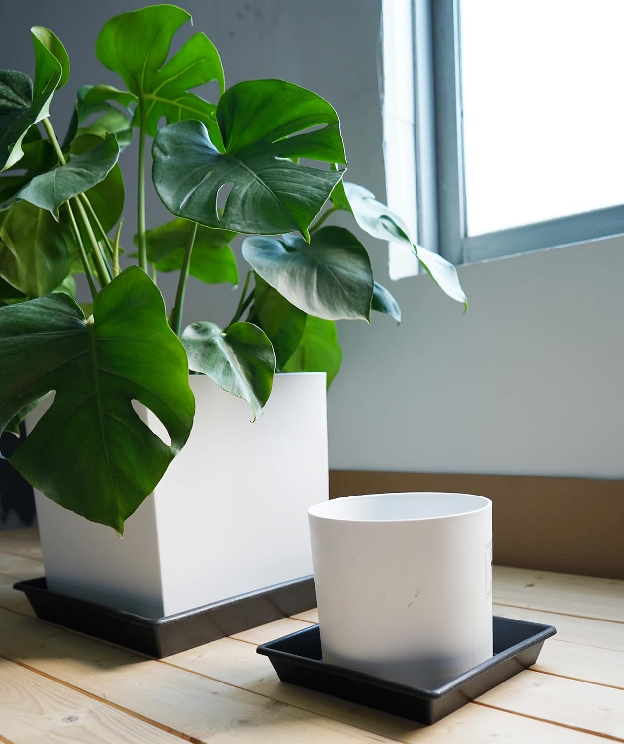 Square Plant Saucer 16 Inch 2 Pack 10 14 16 18 20 Plant Trays for Pots Heavy Duty Plastic Plant Saucers for Indoors Outdoors, Flower Pot No Holes Plant Drip Trays