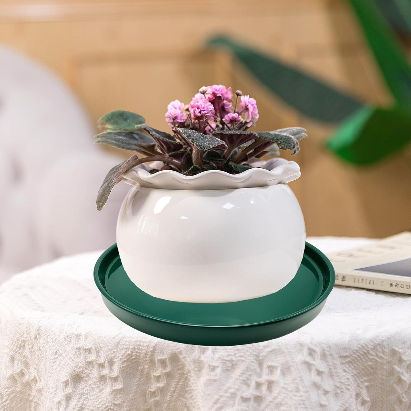 2 Pack Ceramic Plant Saucer Pot Tray 6 Inch, Planter Saucers 4 5 6 7 8 9 10 11 12 13 Inch for Indoors Outdoor, Durable Sturdy Flower Drainage drip Water Tray for Glazed Pots Base (6.4 Inch-Green)