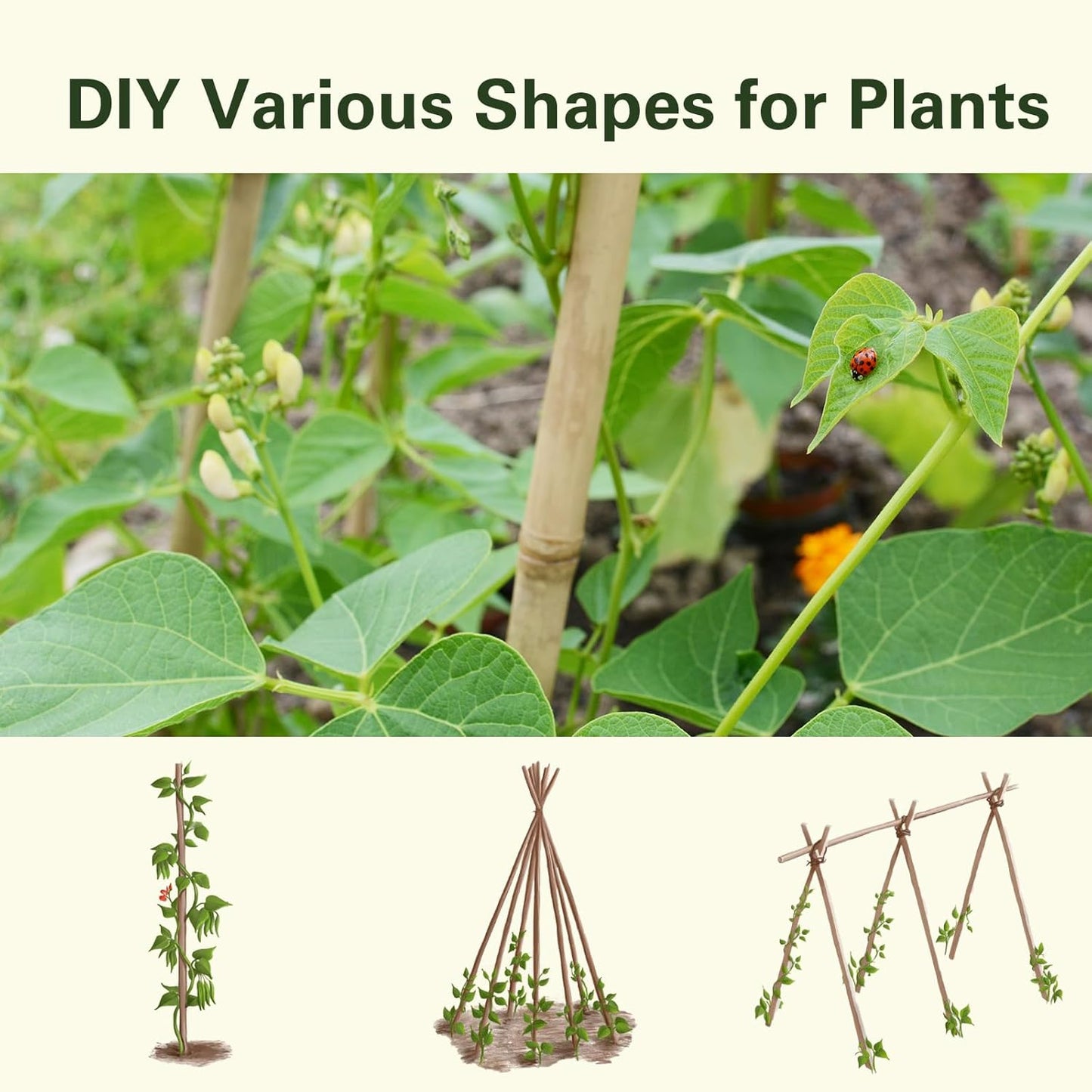 Bamboo Stakes 4 FT 30pcs, 48 inch Garden Stakes Multi-Purpose, Plant Stakes for Tomatoes, Beans, Cucumbers, Peppers, Flowers, Potted, Maintain The Plant Posture, Strengthen and Stem