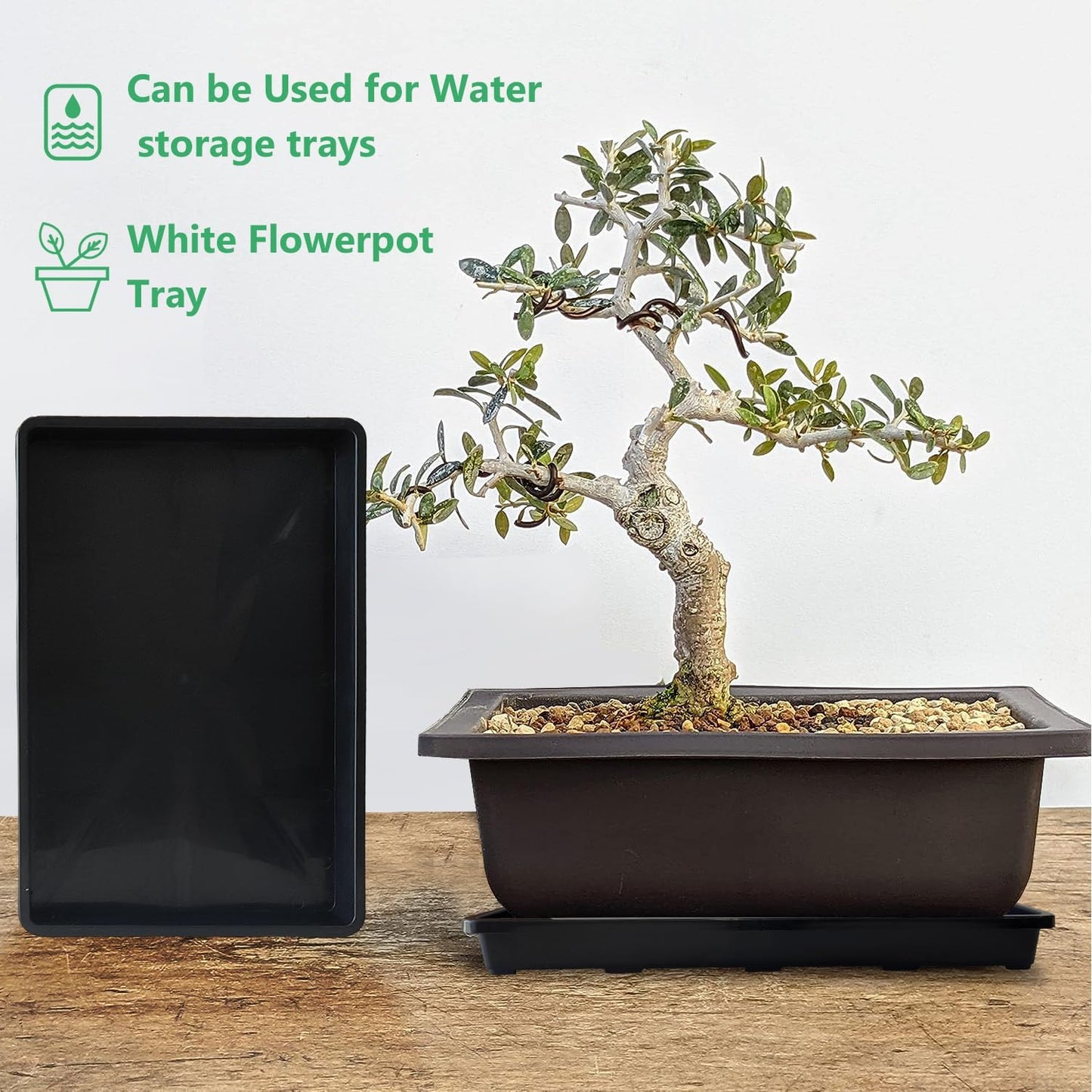 5 Pack Nursery Potting Tray, Carrying and Holding Plant Tray for Seeds Starting Pot, Collecting Drainage Water(Black)