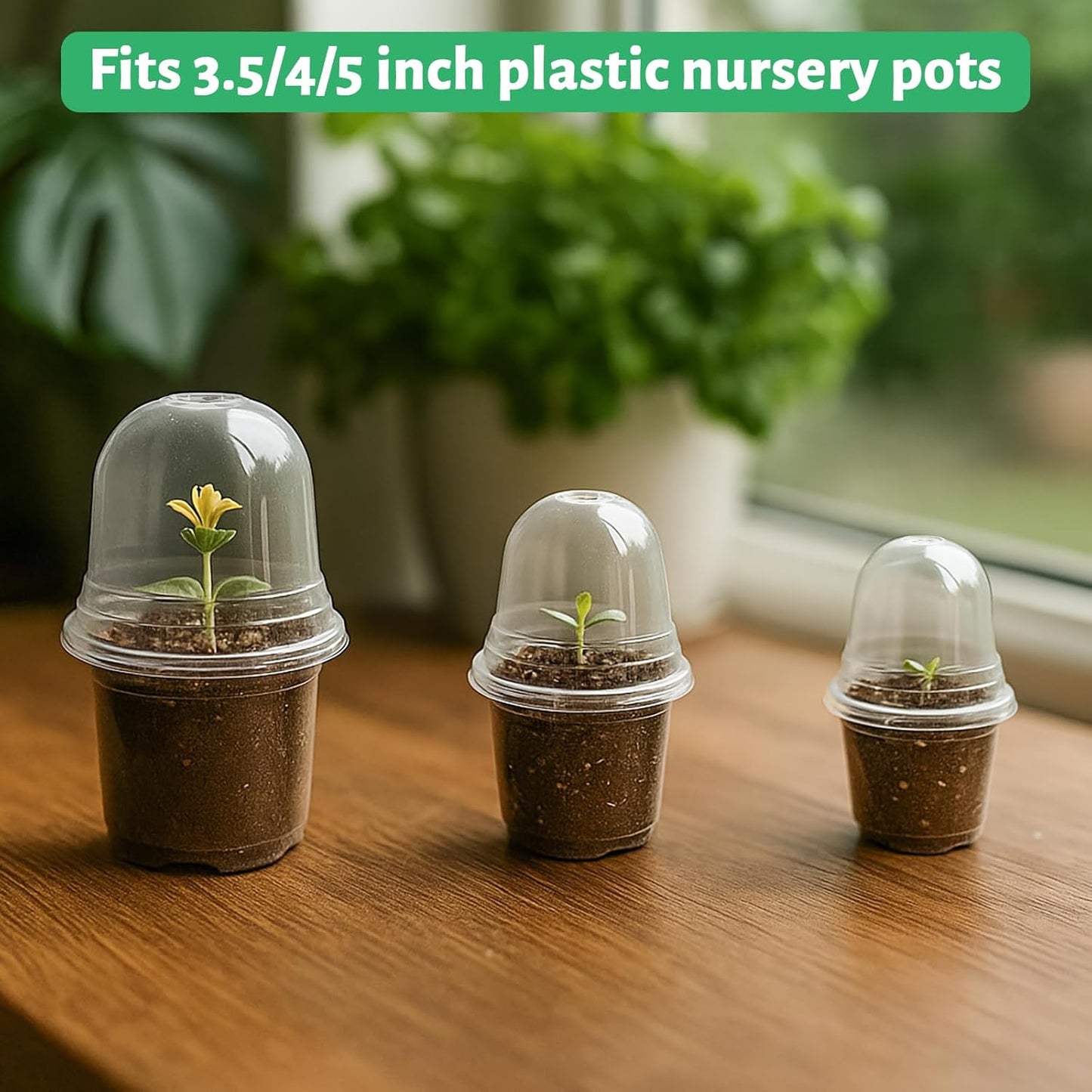 36 Packs 5/4/3.5 Inch Clear Plant Pot Humidity Domes, Transparent Seedling Domes Compatible with 5/4/3.5 Inch Reinforced Nursery Pots