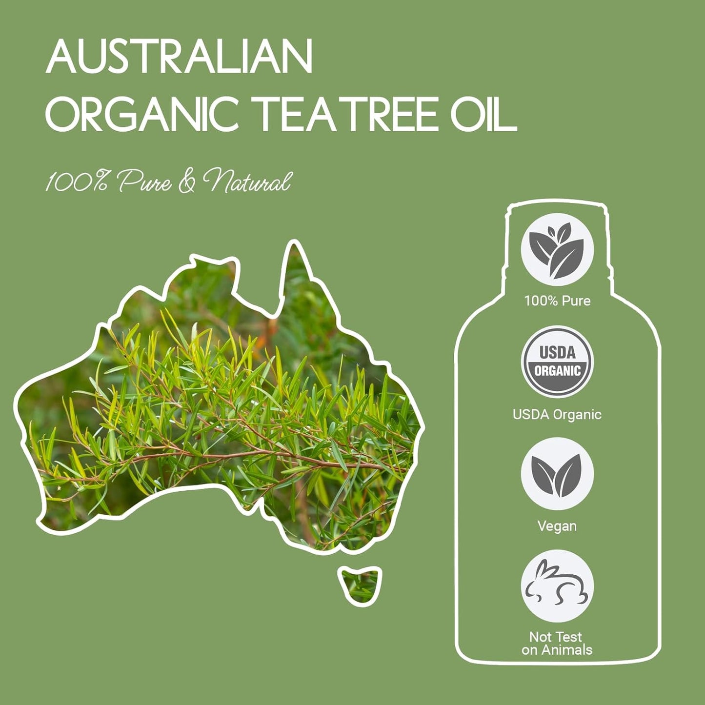 Organic Tea Tree Oil for Skin, Hair, Face, Scalp, Nails, 100% Pure Australian Tea Tree Essential Oil for Room Linen Spray, Diffuser -1 Oz