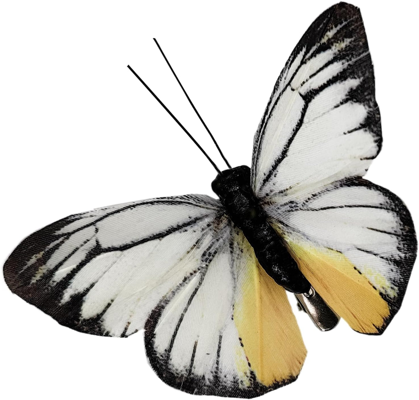 Cartanfill- Artificial Feather Simulation Butterfly Party Decoration Set, a Set of 12 Pieces with Clips, Used for Home Decoration in 12 Colors.… (D Clip)