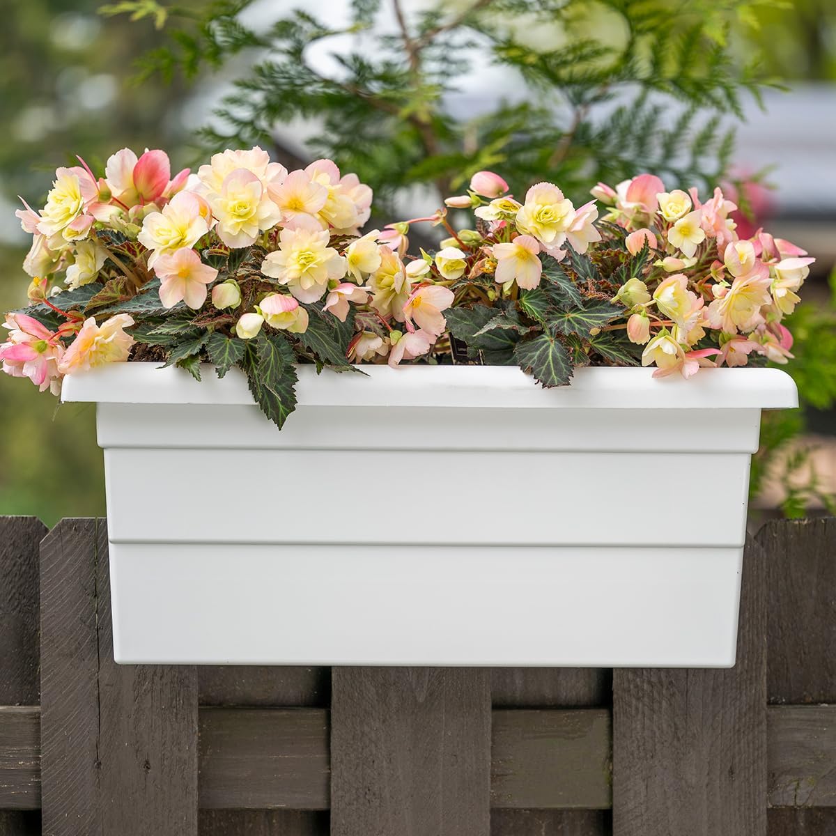 Root & Vessel Countryside Rail Planter, White, 24"