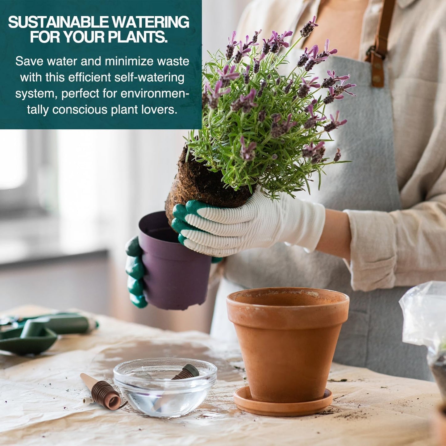 Blumat Classic Plant Watering Stakes (6 Pack) (with Adapter)