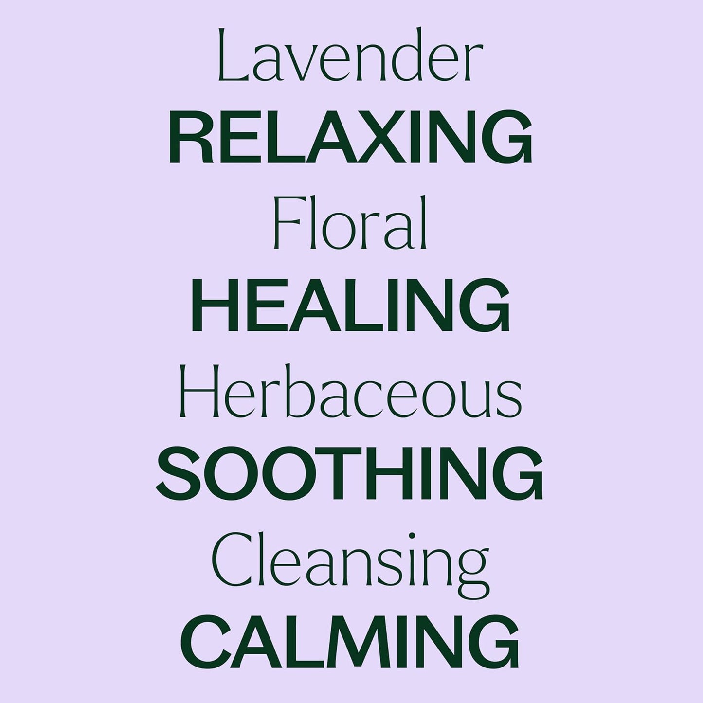 Plant Therapy Lavender Essential Oil 100% Pure, Undiluted, Natural Aromatherapy, Therapeutic Grade 30 mL (1 oz)