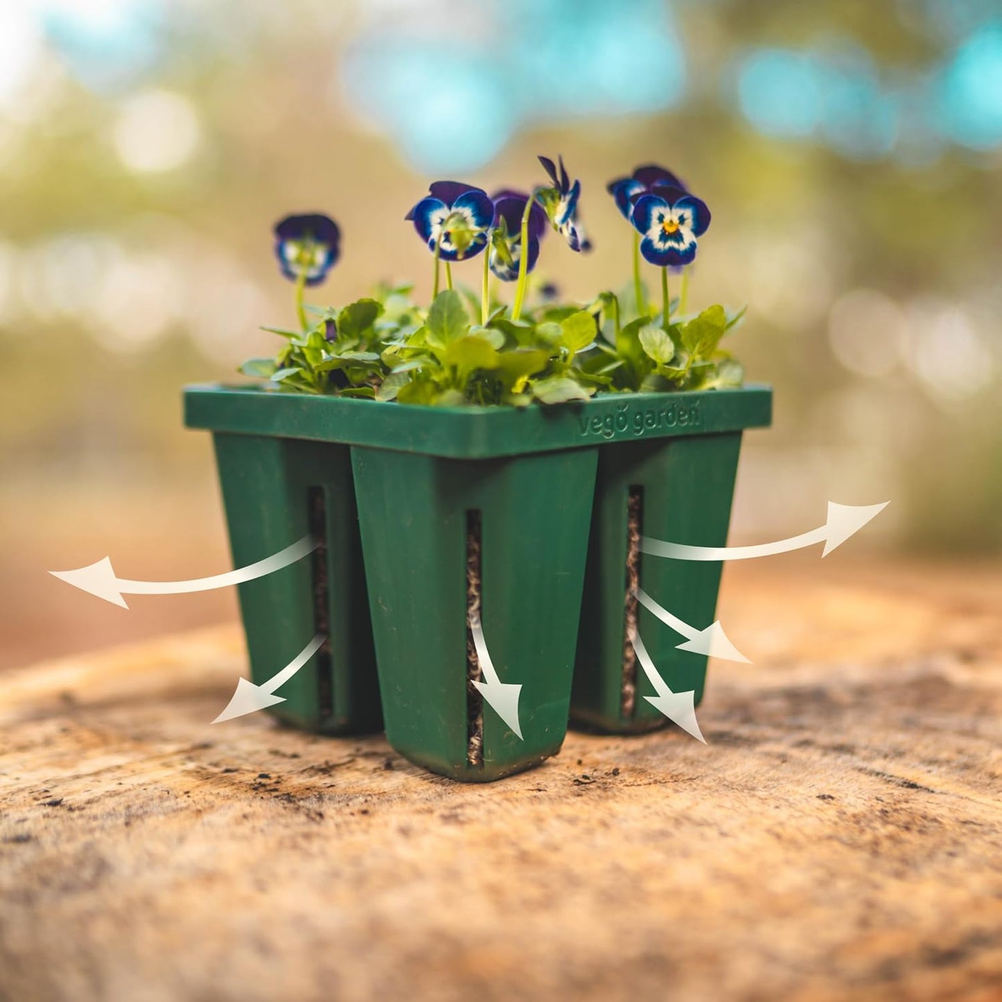 Vego garden Seedling Suite Products, 4 Pack Jumbo Seedling Trays with Seedling Tray Lids and 10" x 10" Bottom Watering Trays