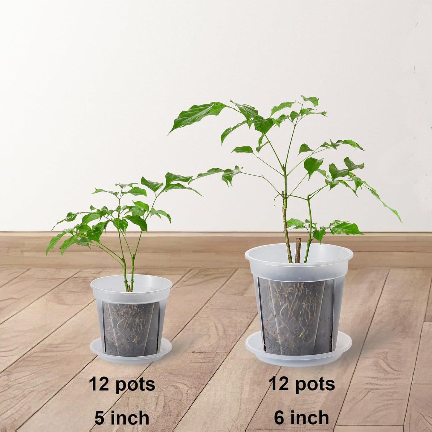 24 pcs 5/6 inch Clear Nursery pots with Trays,Thick Plastic Clear Plant pots with Drainage Holes and Saucers for Orchids,Succulents etc,Outdoor or Indoor use (5/6inch with 24 Trays)