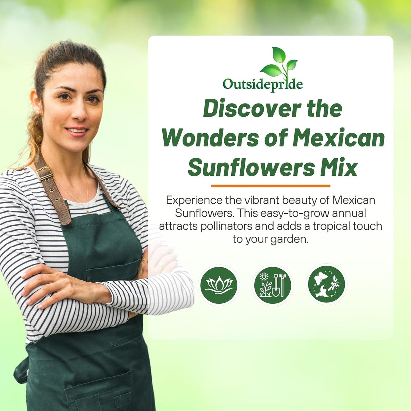 Outsidepride Mexican Sunflower Seeds Mix - 1000 Pcs Annual, Easy-to-Grow, Mixed Tithonia Speciosa Flower Seeds w/Drought-Tolerant Blooms for Pollinator Gardens & Vibrant Summer Landscaping