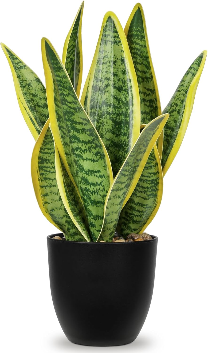 Hollyone Artificial Snake Plant Potted Faux Sansevieria Trifasciata Plants, 13" Tropical Fake Snake Plants in Black Pots for Home Office Room Indoor Decor Housewarming Gifts