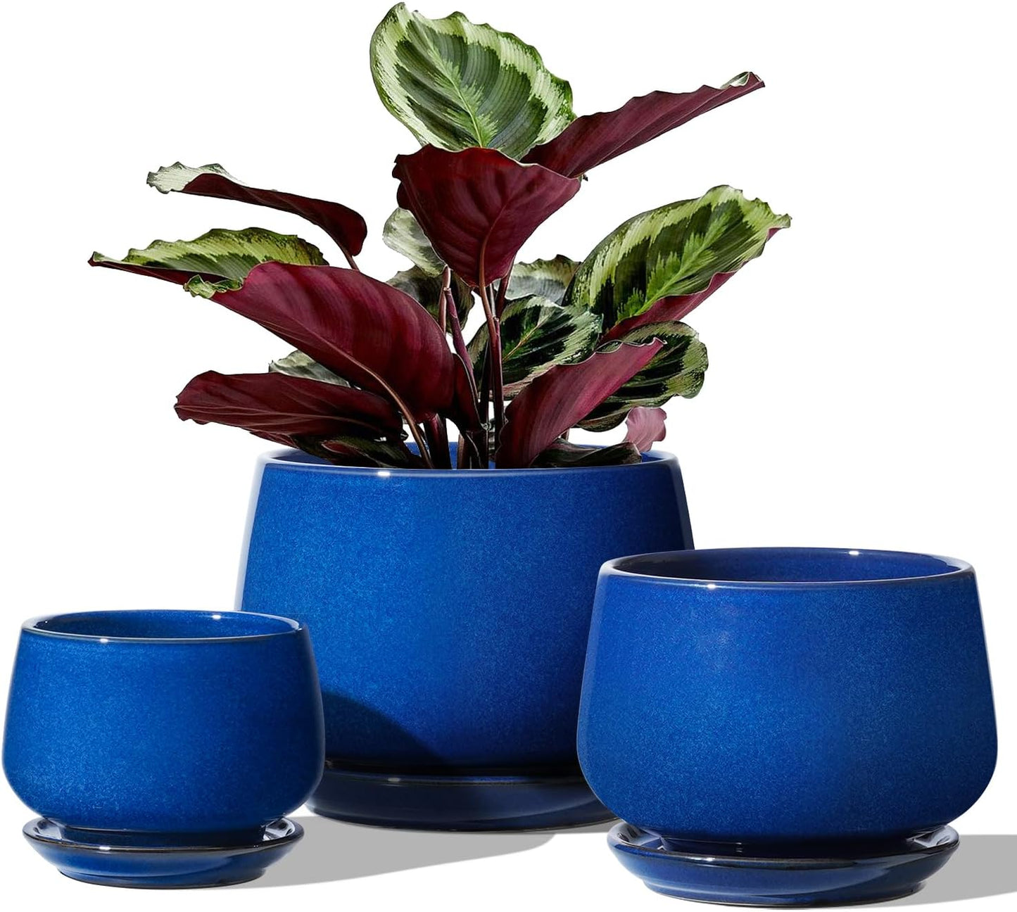 LE TAUCI Plant Pots, 4.1+5.1+6.5 inch, Set of 3, Ceramic Planters with Drainage Hole and Saucer, Indoor Flower Pot with Hole Mesh Pad, Gifts for Mom, Sapphire Blue