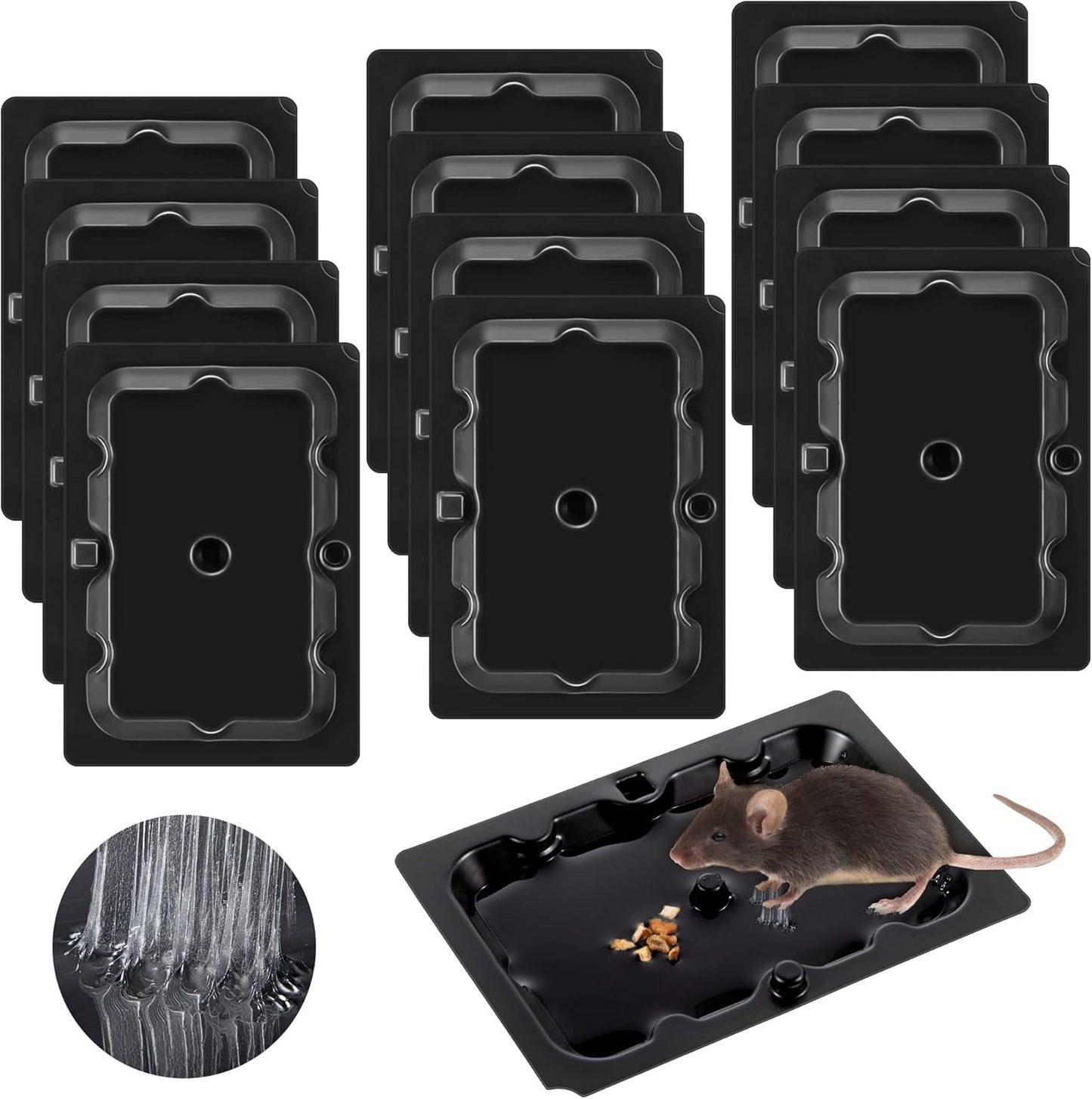 Qualirey 12 Pack Mouse and Insect Glue Traps, Strong Sticky Mice Traps Indoor for Home, Pre Scented Rodent Pads with Non Toxic Glue for House Garage, Ready to Use, Safe to Children and Pets (Black)