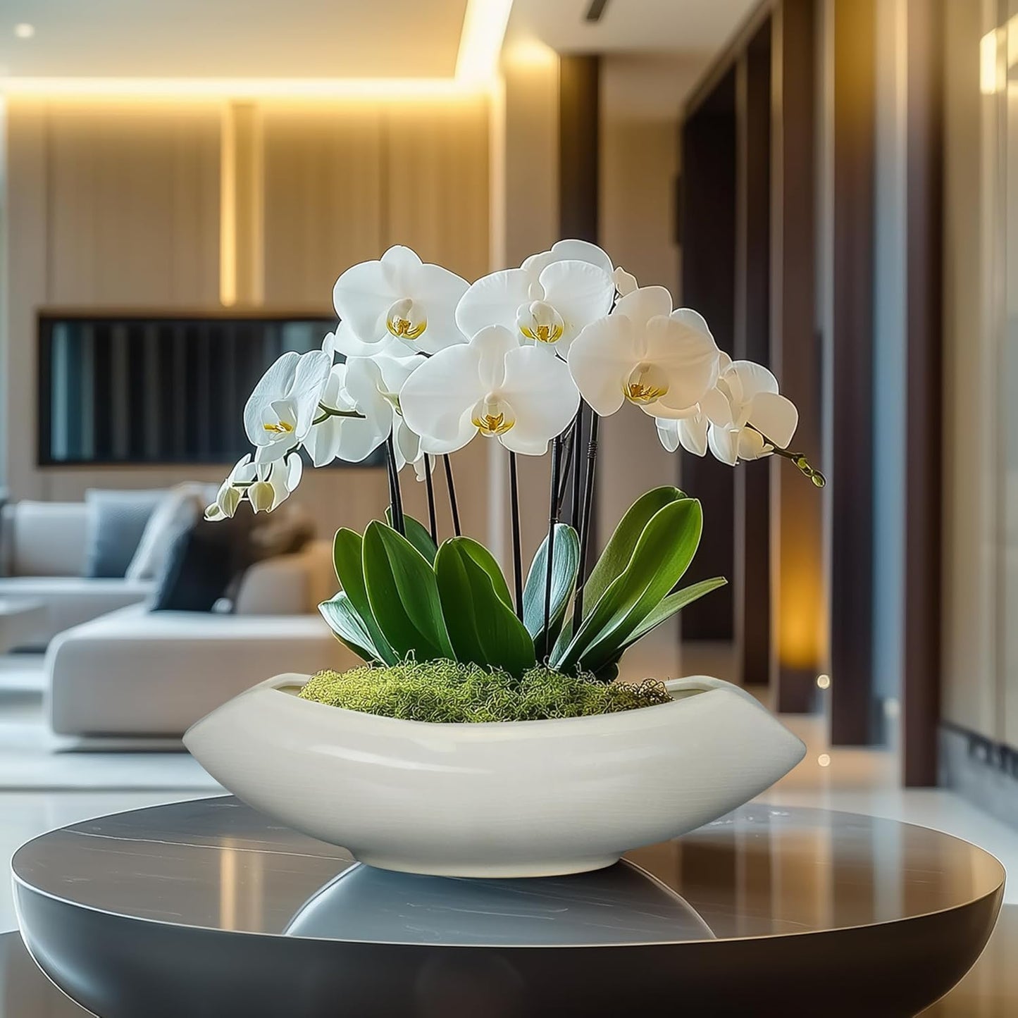 Bonsai Pots 18 Inch - Ceramic Succulent Pots with Drainage Hole Decorative Plant Pot Indoor Large Outdoor Planter Modern Flower Pot for Home Garden Room Decor Gray