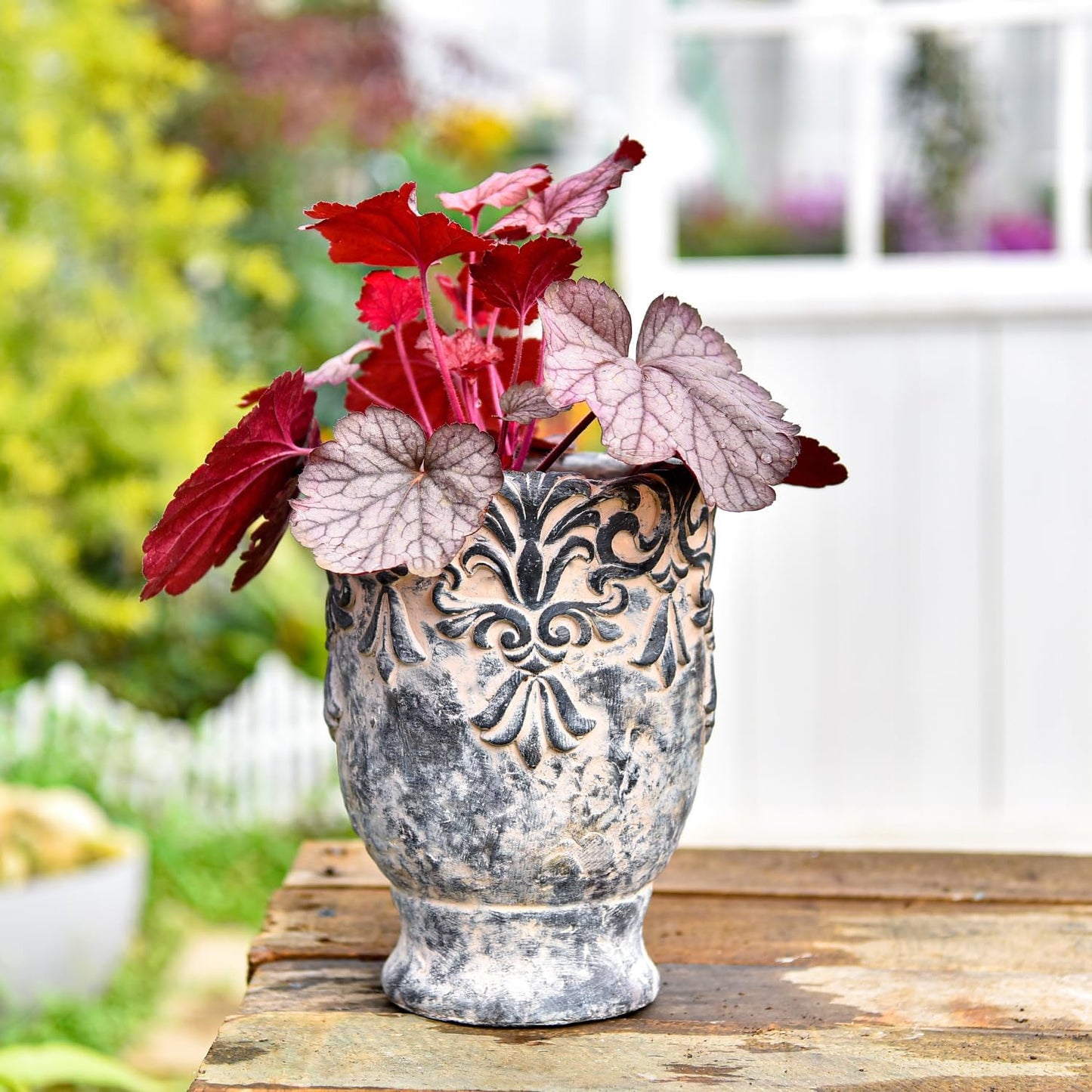 Sungmor 6.3 Inch Cement Plant Pot for Plants, Succulent Planter with Embossed Design, Vintage Concrete Flowerpots with Drainage Hole, Decorative Orchid Houseplant Pot Indoor Outdoor Plant Container