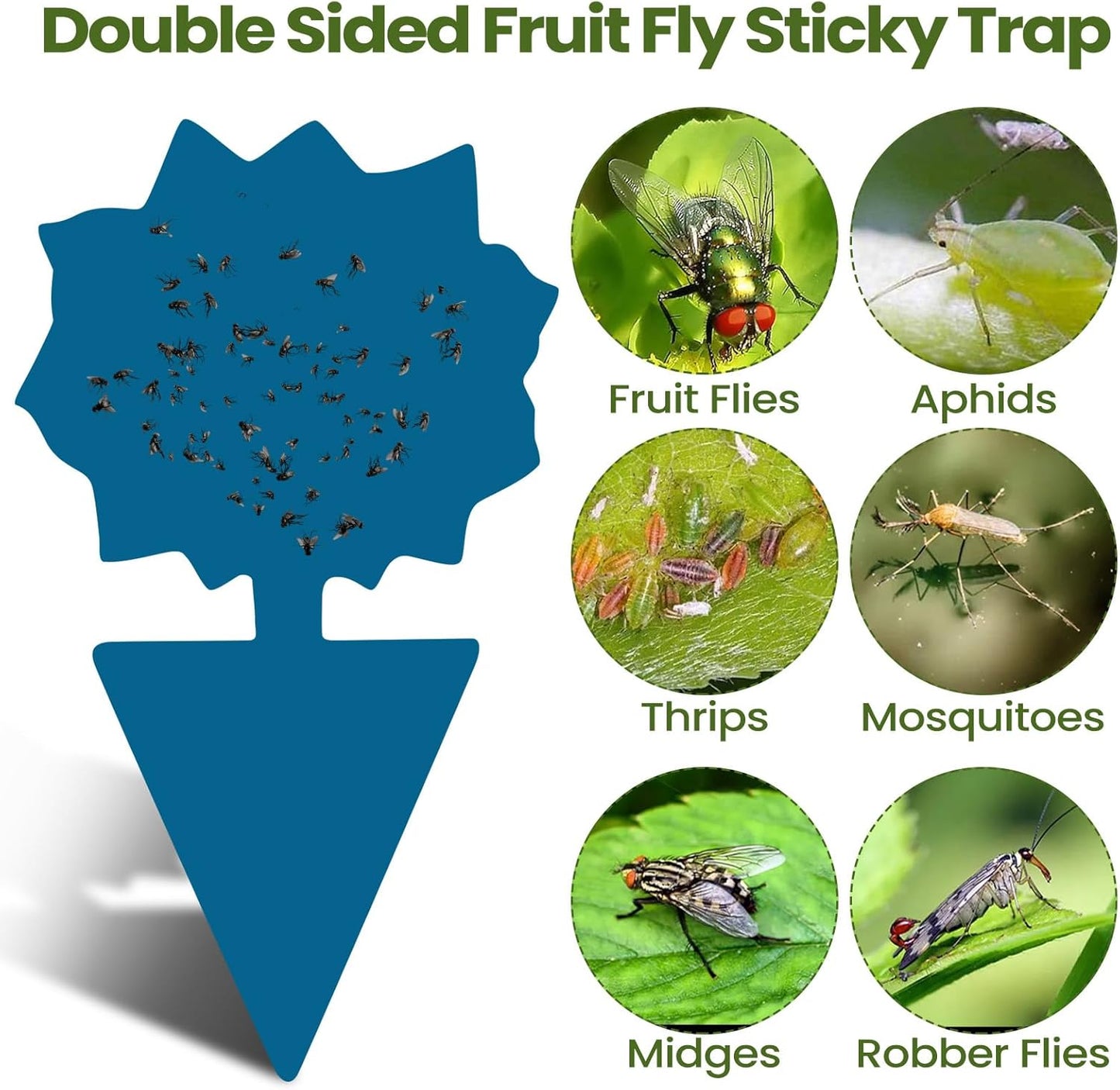 Qualirey 200 Sheets Fruit Fly Sticky Traps for Fruit Fly Gnat Trap for House Indoors Sticky Traps Catcher for Gnats Fungus Gnats Mosquito Catcher for Kitchen Outdoor Plants(Blue)