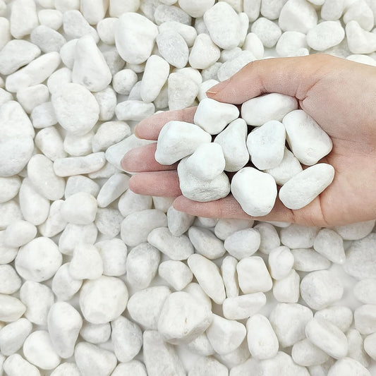 20 lbs White River Rocks for Landscaping, 0.5-1 Inch Pebbles for Indoor Plants, Decorative Stones for Succulent, Cactus, Vases, Aquariums, Crafting and Garden