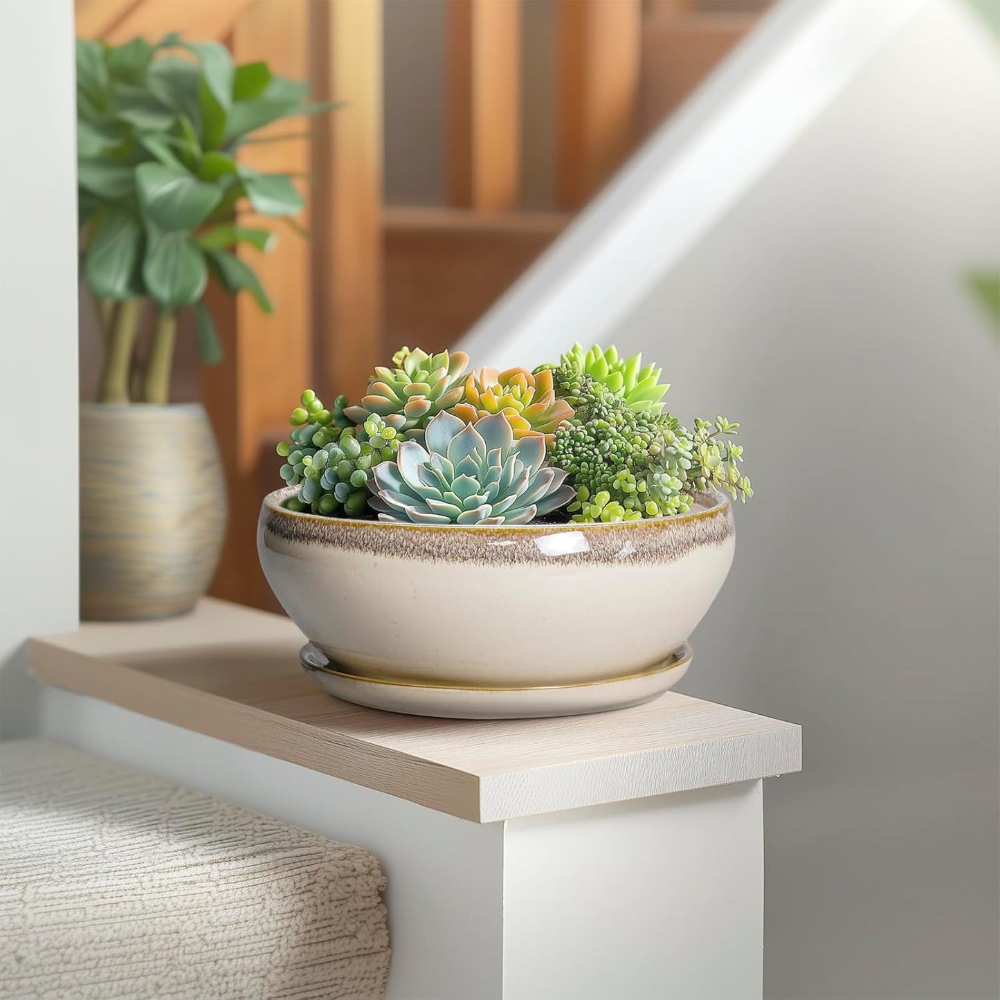 SQOWL Succulent Pots 8 Inch - Ceramic Bonsai Pots for Indoor Plants, Round Shallow Plant Pot with Drainage Hole and Saucer, Bowl Planter Outdoor, Patio Decor, Plant Lover Gifts, Beige