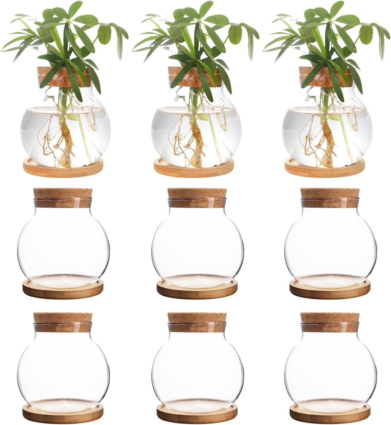 Plant Propagation Station,Hydroponic Glass Container Vase Jars, with Wooden Saucer for Desks, Houses, Garden Decorations, Home Kitchen Decorations and Gifts for Plant Lovers (9)