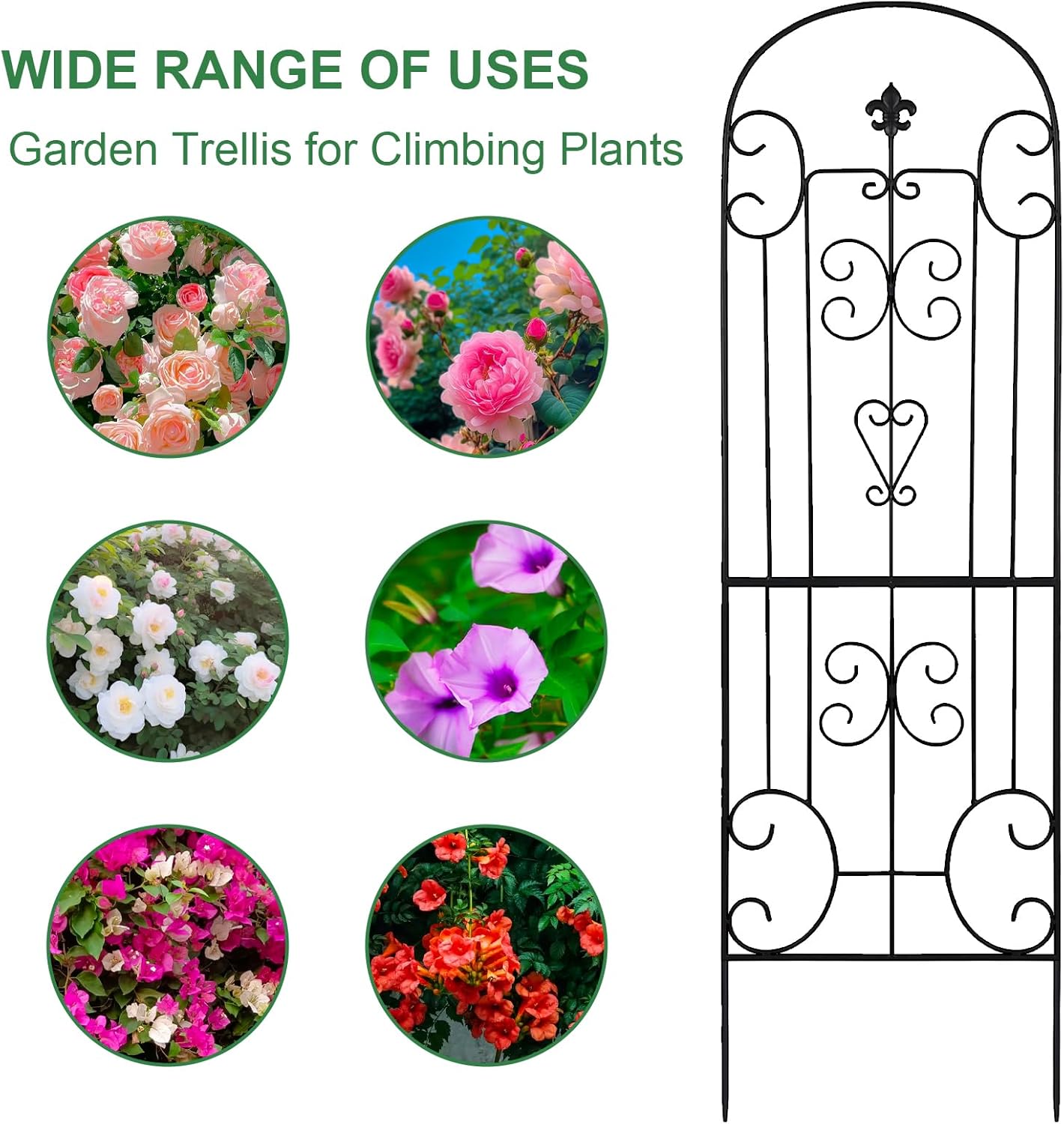 Black Metal Garden Trellis - 70"X18" Decorative Flower Trellis with Powder Coating for Climbing Plants, Rose, Vegetable Support (4, Pattern-C)