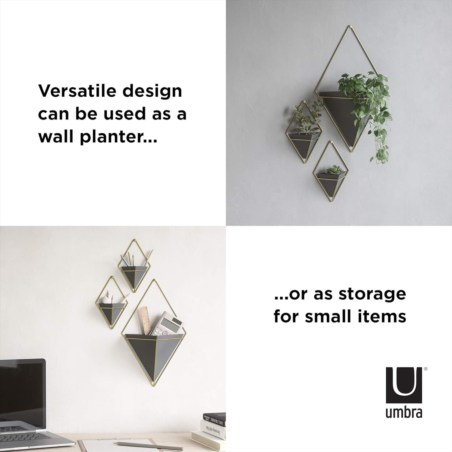 Umbra Trigg Hanging Planter Vase Wall Decor, Pot and Container for Succulents, Cactus, Faux Plants, and More, Large, Black/Brass