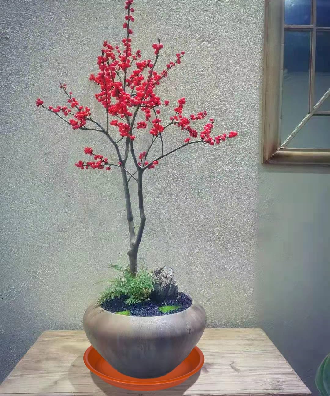 2 Pack Plant Saucer Drip Tray 11 12 inch, Pot Base for Plants Indoor, Plastic Flower Planter Saucers and Drip Trays for Outdoors, Heavy Durable Plant Plate Water Catcher (12", Terracotta)