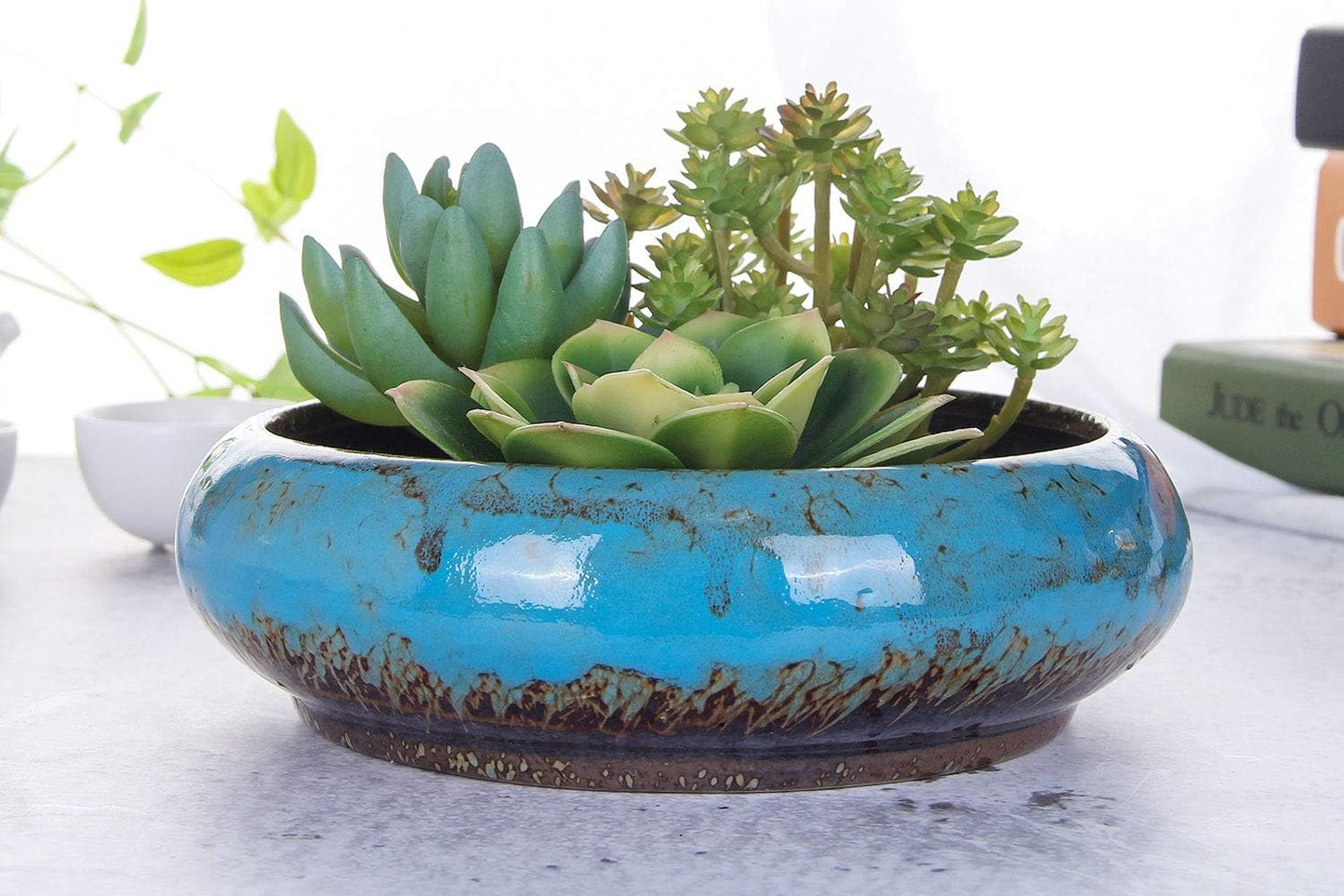 VanEnjoy 7.3 inch Round Large Shallow Succulent Ceramic Glazed Planter Pots with Drainage Hole, Bonsai Pots Garden Decorative Cactus Stand Flower Container (blue)