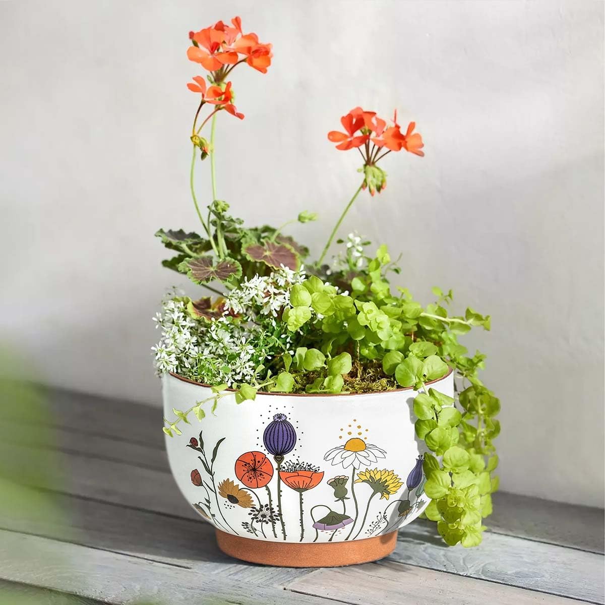 YBX 8 Inch & 6 Inch Terracotta Pots, Plant Pots Indoor, Flower Pots for Indoor Plants with Drainage, Planters with Floral Accent for Indoor Plants (French Country)