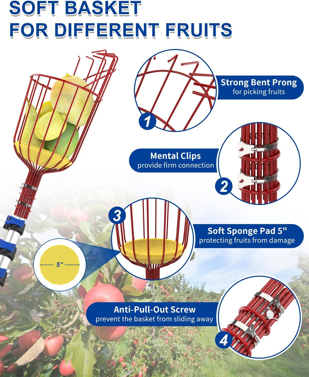 30FT Reach Fruit Picker, 5-24 Foot Sturdy Aluminum Telescoping Fruit Picker Extension Pole with Metal Twist-on Basket, Suit for Apple Pear Lemon Mango Guava Orange Avocados Tree Fruit Picking