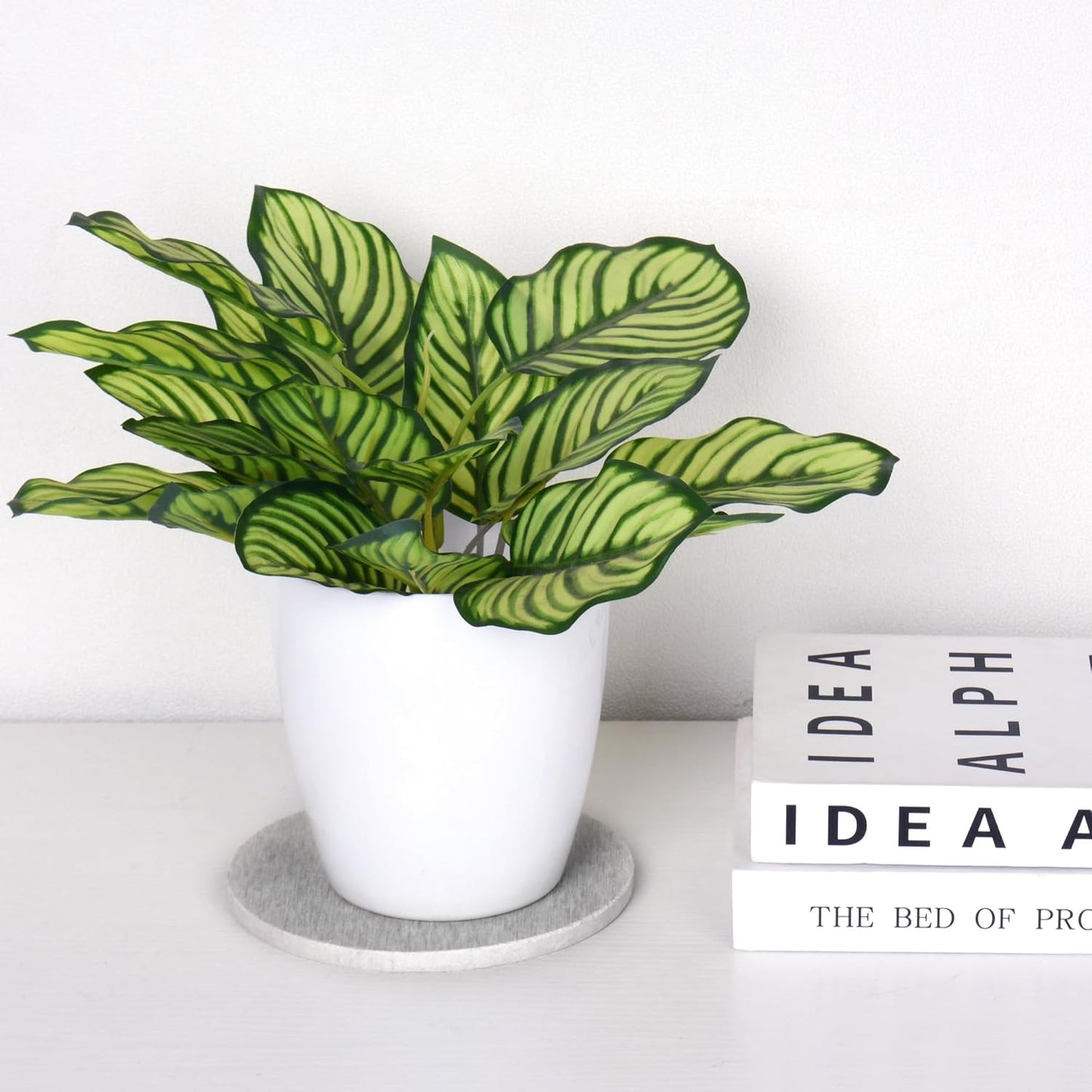 2 PCS Plant Saucer Flower Pot Saucers, Absorbent and Quick-Drying Plant Coasters, Diatomaceous Earth Round Plant Drip Trays for Keeping Counter and Floors Dry and Clean, Gray (8-inch)