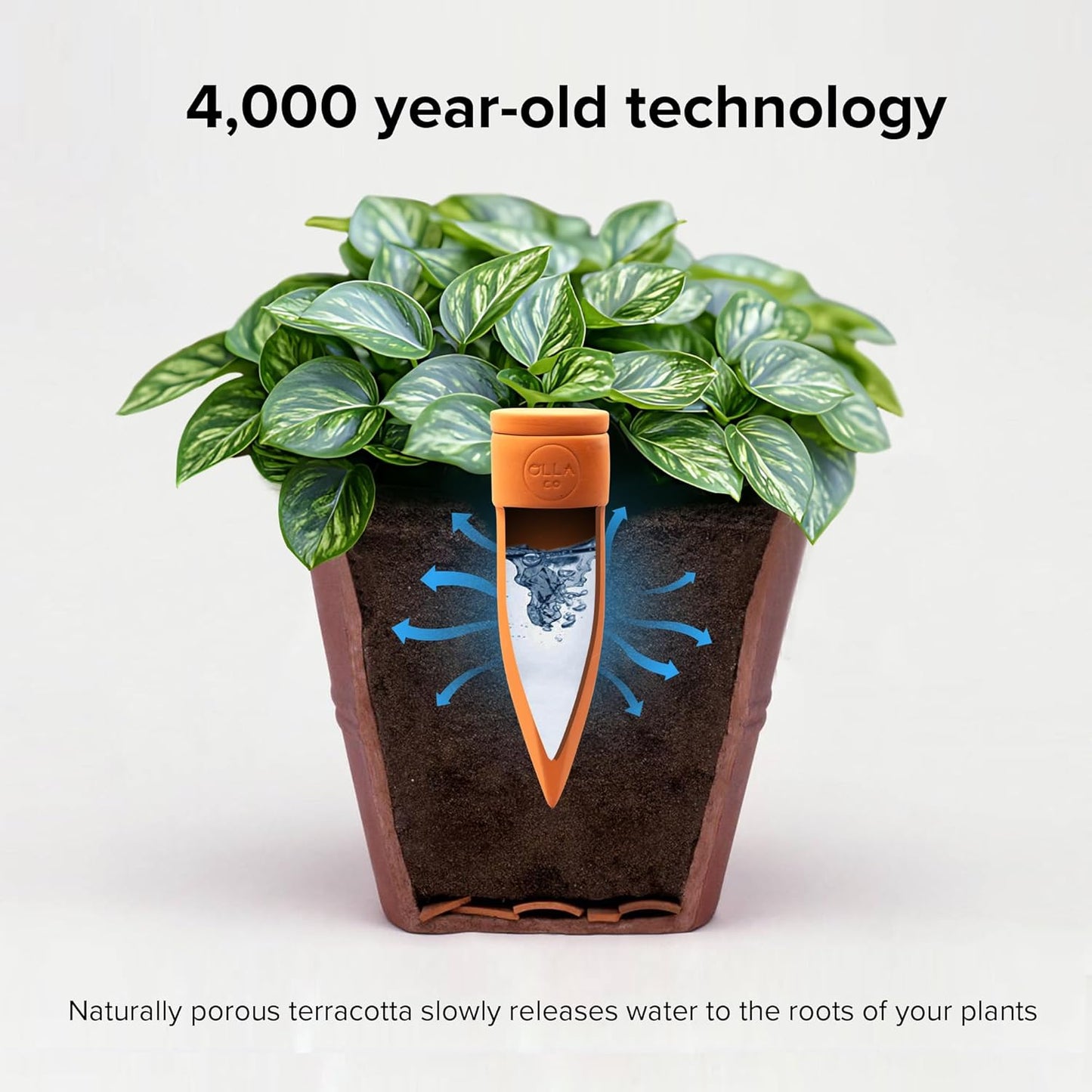 Plant Watering Spikes with Lids - Ideal for 4”-6” Pots - Vacation Friendly - Terracotta - Small - Set of 4