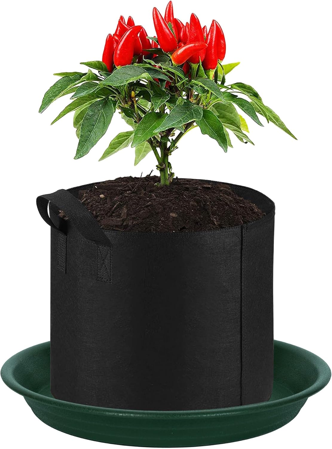 2 Pack Plant Saucer Drip Tray 9 10 inch, Plant Dishes Saucer Plastic Flower Planter Saucers and Drip Trays for Indoors Outdoors, Heavy Durable Plant Plate Water Catcher (10", Dark Green)