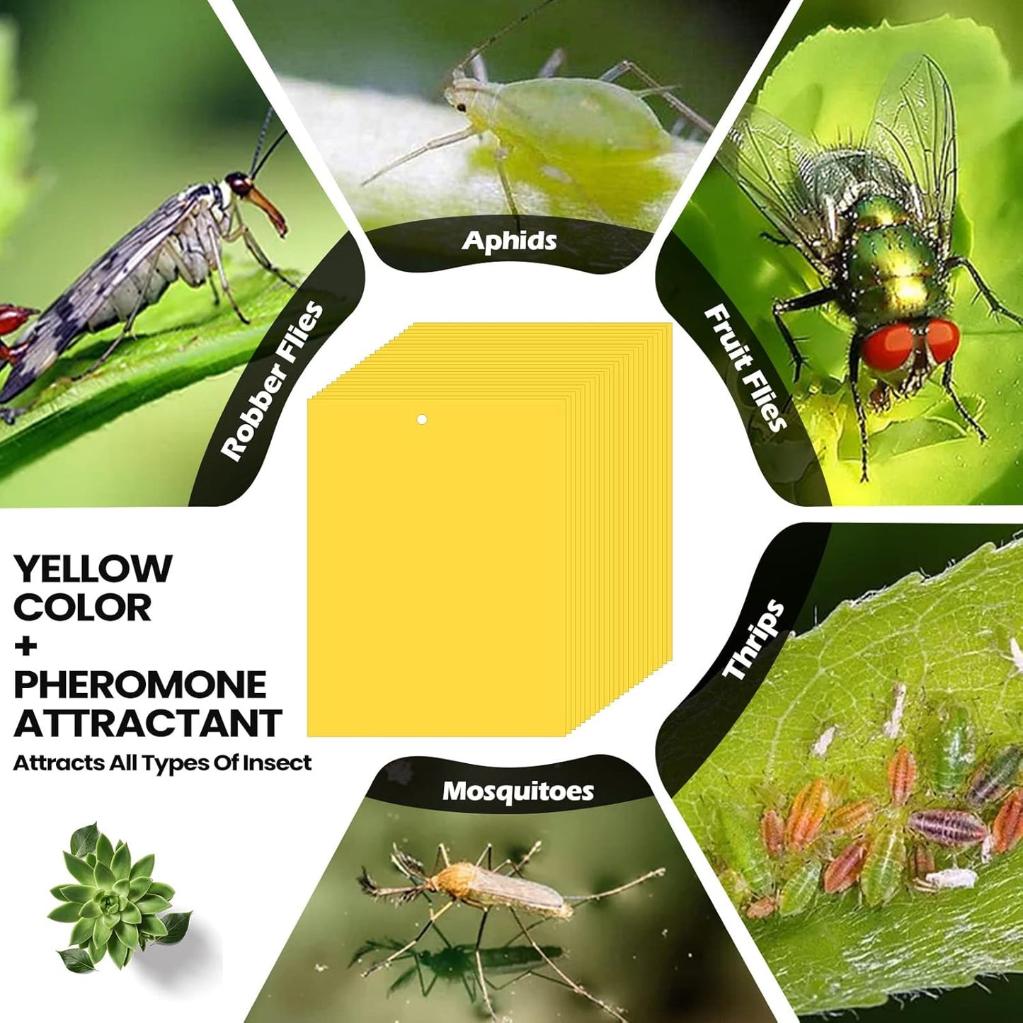 Qualirey 500 Pcs 6 x 8 Inch Yellow Sticky Traps for Plant Double Sided Sticky Trap for Gnats with Twist Ties Sticky Fly Traps for Fruit Insect Fungus Bugs Indoor Outdoor