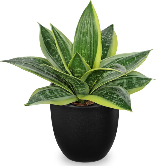Hollyone Artificial Snake Plants 9" Faux Agave Succulent Plant Potted in Black Pot Fake Sansevieria Aloe Tropical Plant for Desk Modern Office Home Bathroom Indoor Outdoor Decor