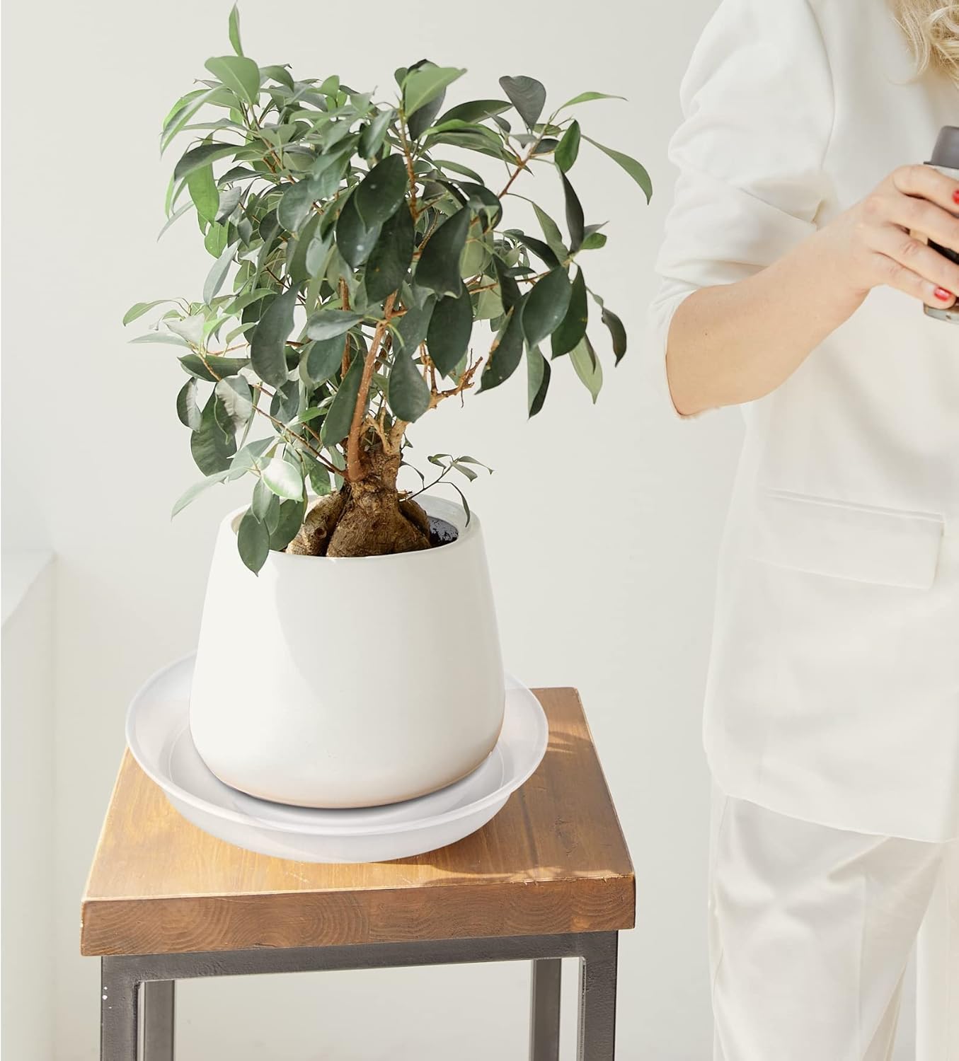 6 Pack of 8 inch Plant Saucer Clear, Heavy Duty Plastic Plant Water Tray 8 inch Round, Flower Plant Saucers for Indoors No Holes, Plant Dishes Saucer for Planter 7"/8" (8", Clear)