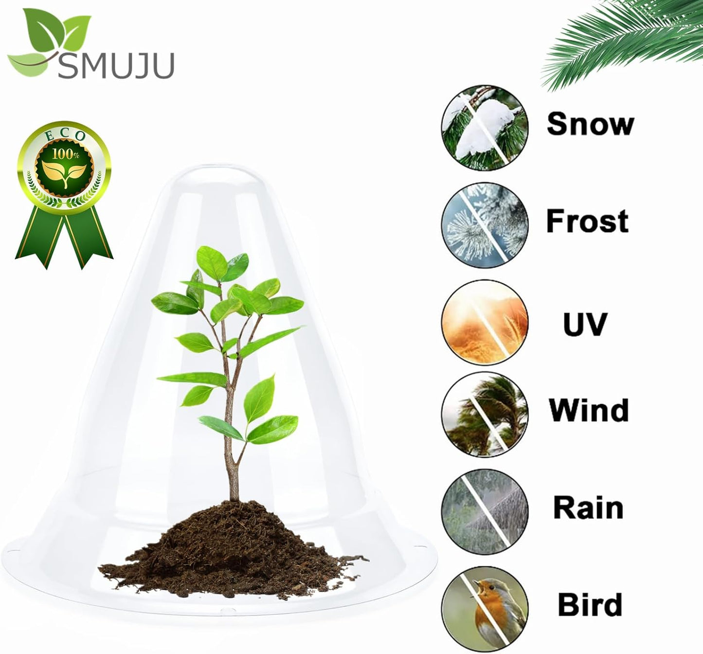 【20 Pieces】 Garden Cloches for Plants, Large Plant Covers Plant Protectors Transparent Bell Jar Cloches to Protect Plants from Birds, Slugs, Frost, Freeze Weather, 10.6" D x 9.5" H, Transparent