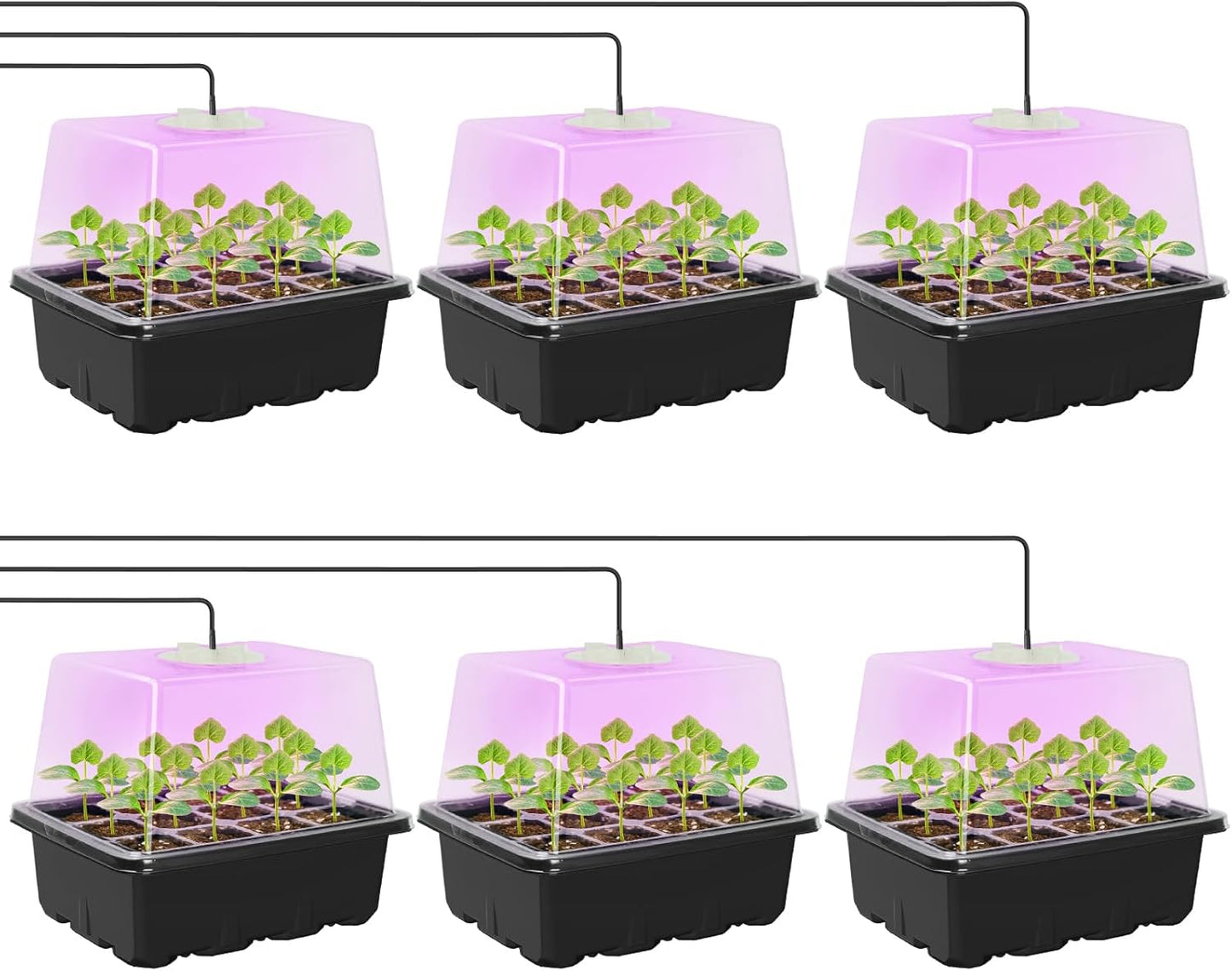 MIXC Seed Starter Kit with Grow Light, Elevated Seedling Tray Kit with Adjustable Humidity Dome and Clear Cell Tray, 12 Full Spectrum Led Beads for Seed Starting Greenhouse, 6 Pack, Black