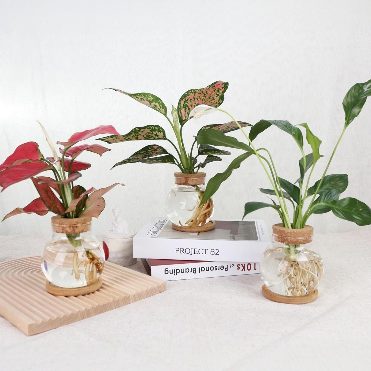 Plant Propagation Station,Hydroponic Glass Container Vase Jars, with Wooden Saucer for Desks, Houses, Garden Decorations, Home Kitchen Decorations and Gifts for Plant Lovers (6)