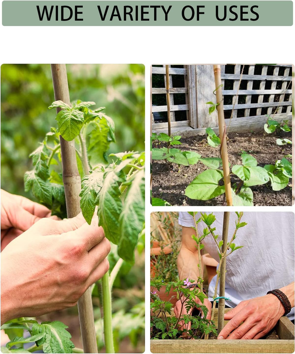 60 Pack 4 Ft Bamboo Stakes for Plant with 100 Twist Ties Bamboo Sticks Plant Support Garden Stakes Poles for Tomatoes Cucumber Grapes Pole Beans Trees Potted Dahlia Flowers